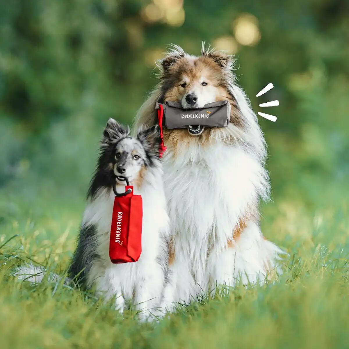 Futterdummy per Cani – Sacchetto da Riporto per Addestramento 6/6