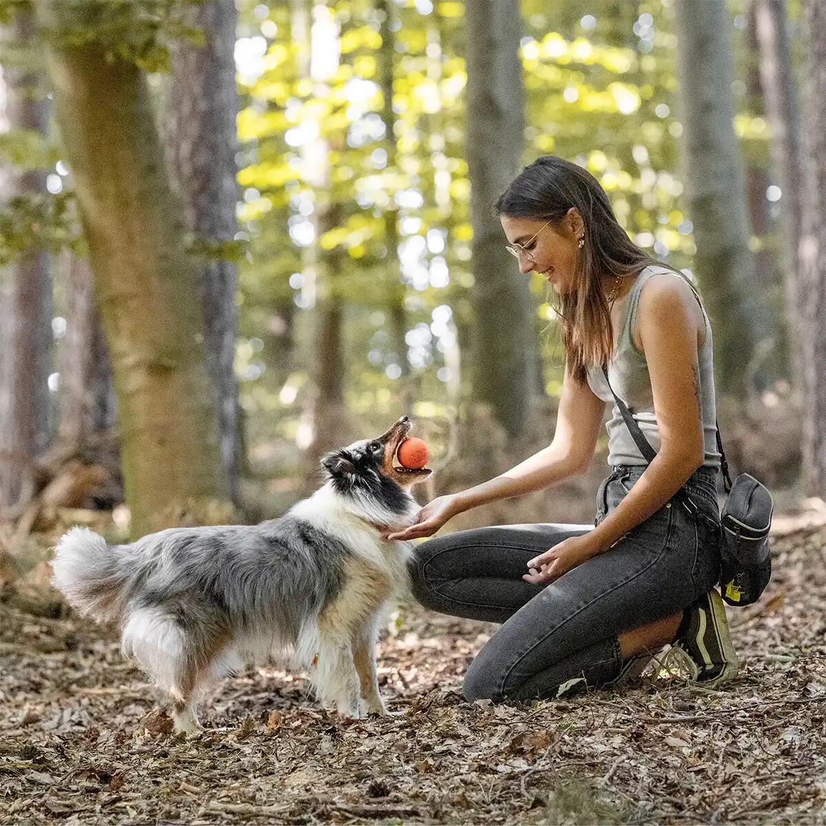 Pallina per Cani in Gomma Naturale – Giocattolo Sicuro e Robusto 3/6
