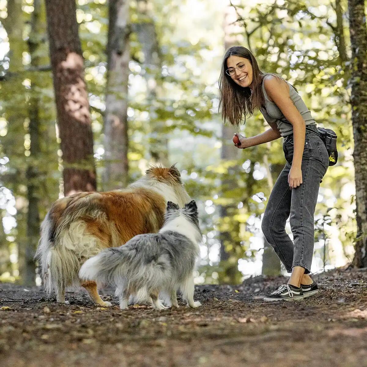 Pallina per Cani in Gomma Naturale – Giocattolo Sicuro e Robusto 6/6