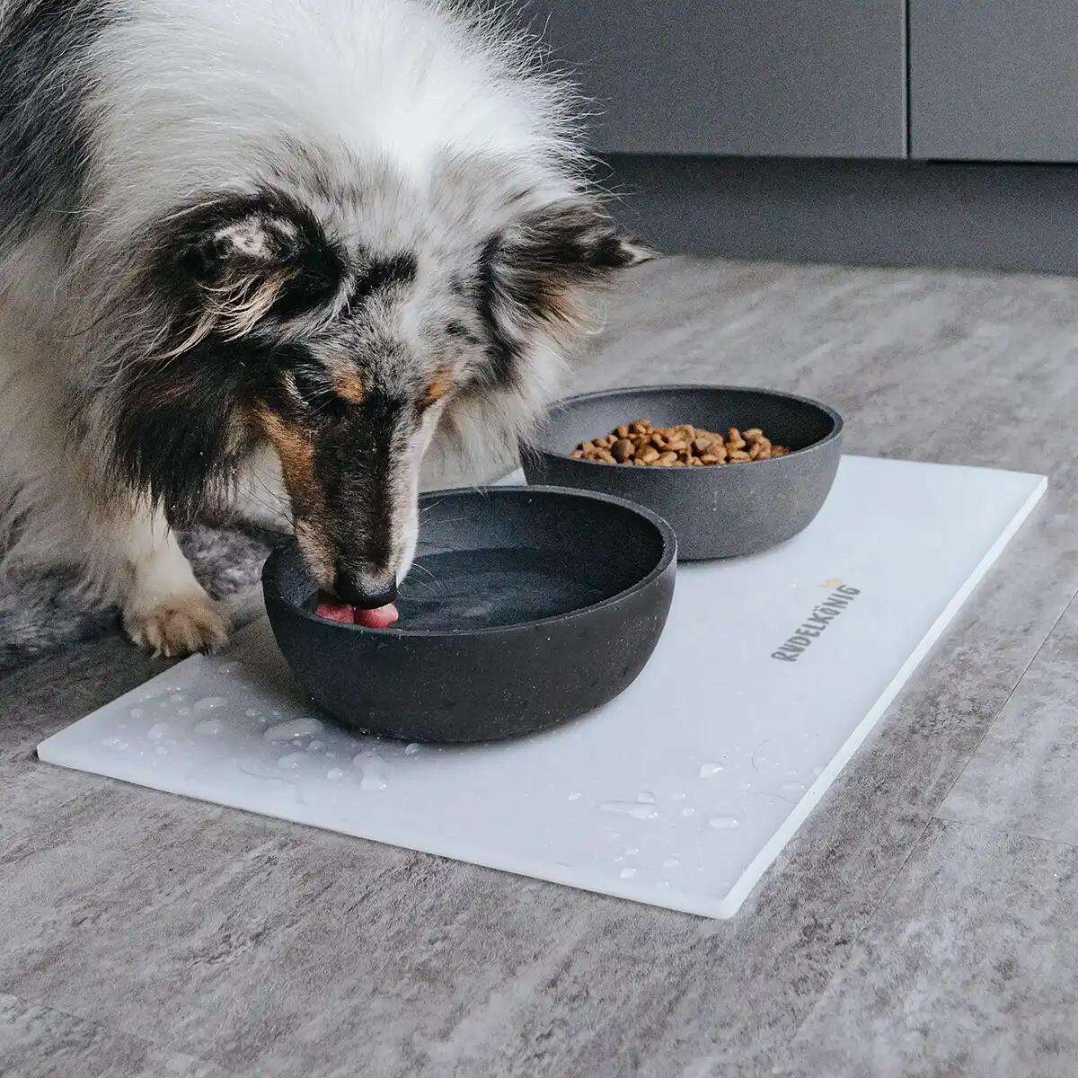 Rudelkönig Tapis pour gamelle pour chiens et chats 3/6