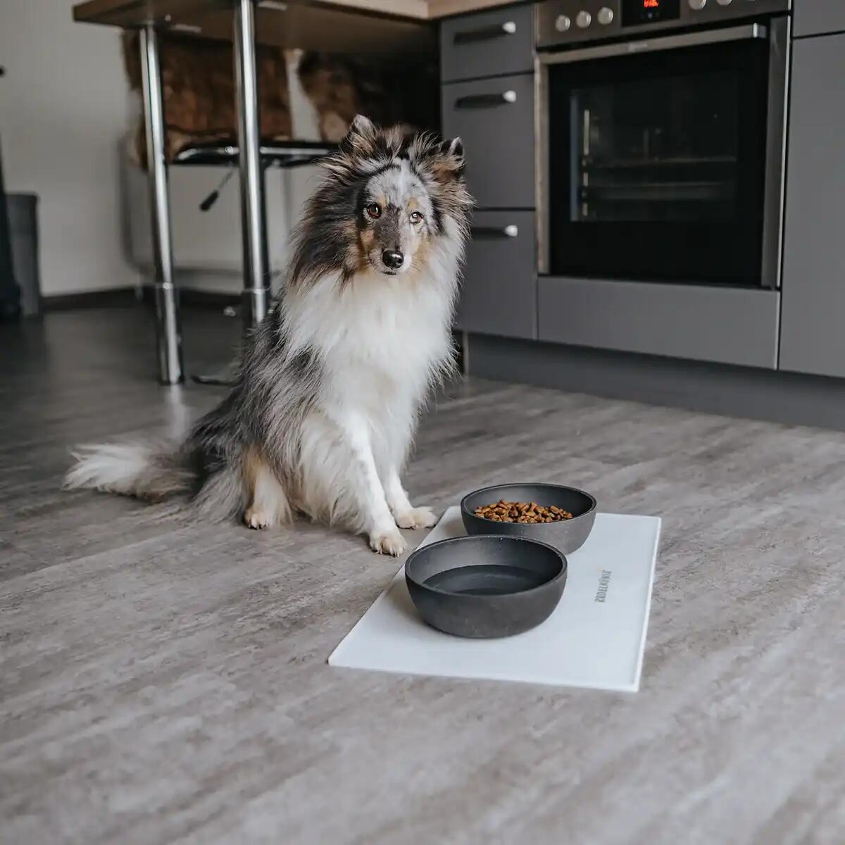 Rudelkönig Tapis pour gamelle pour chiens et chats 5/6