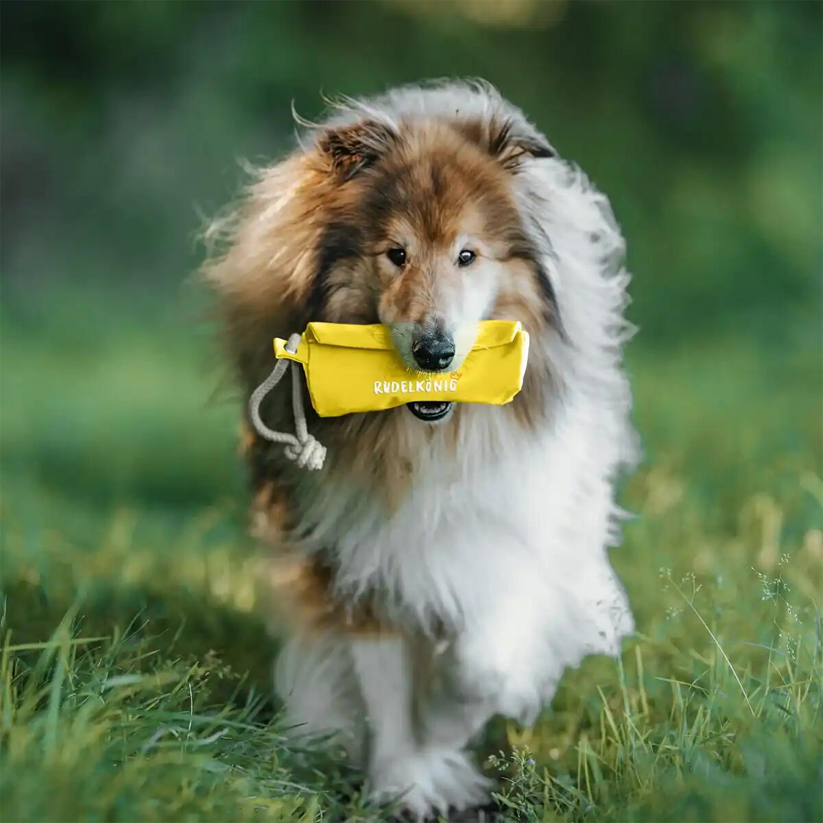 Trixie snackzak voor trainingen