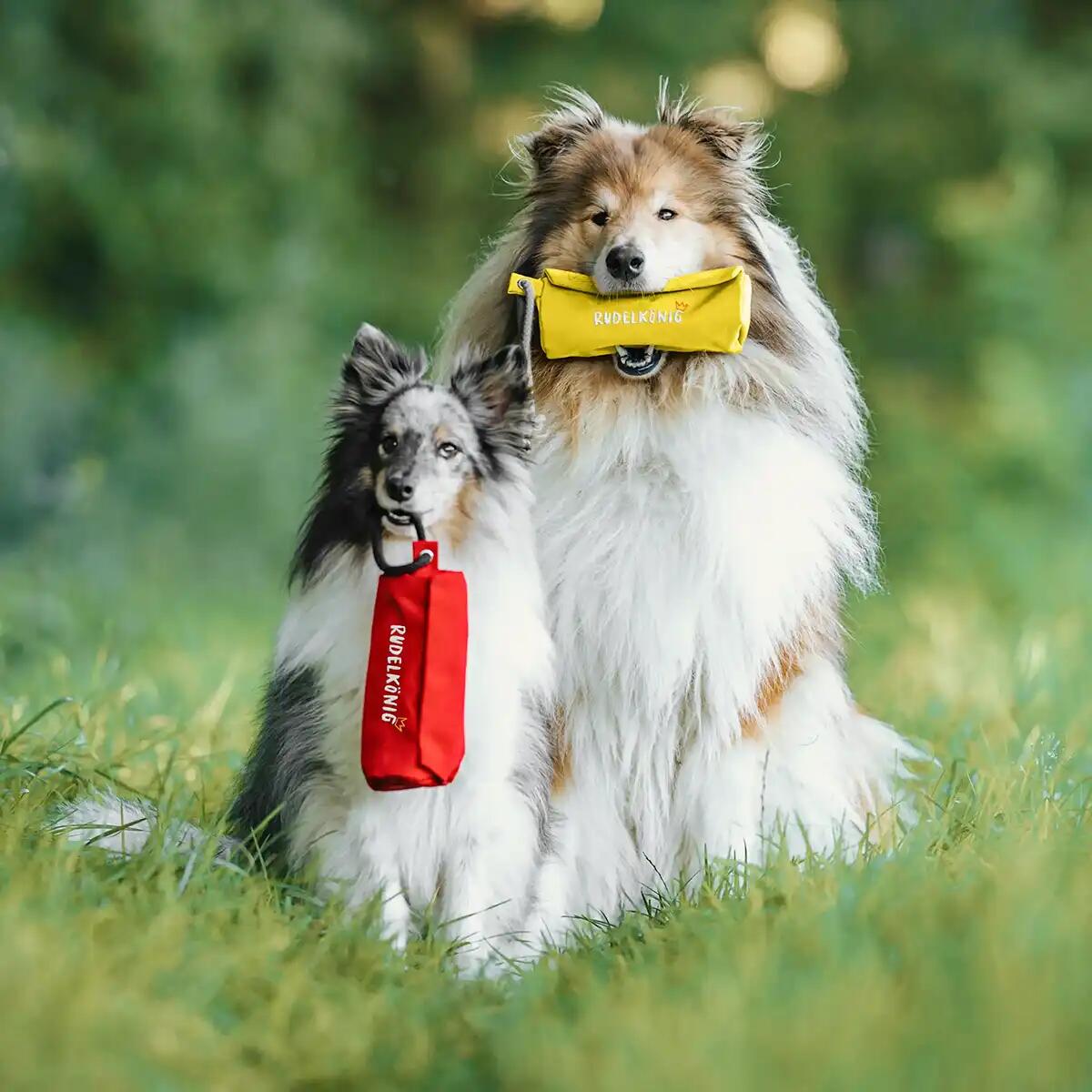 Futterdummy per Cani – Sacchetto da Riporto per Addestramento 6/6