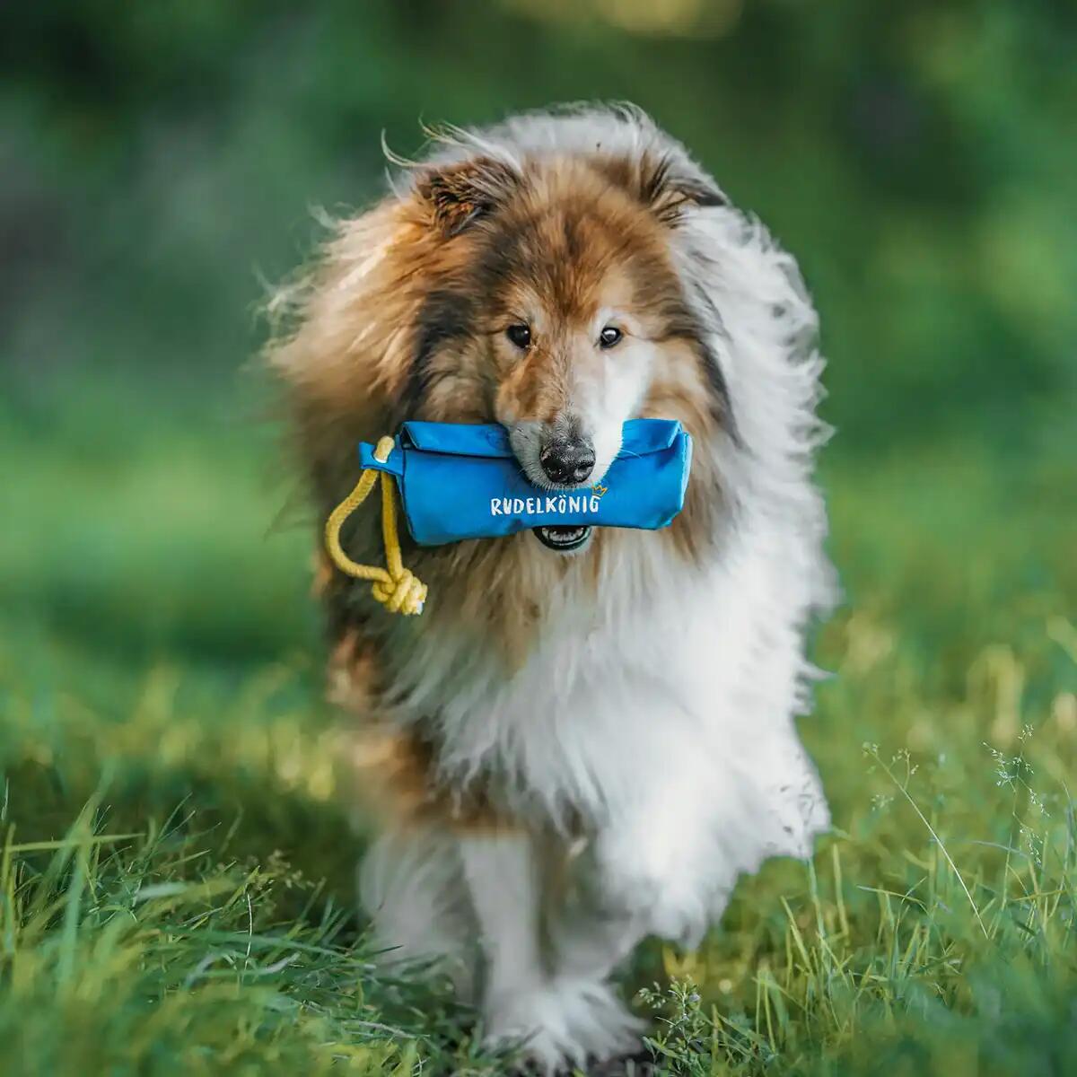 Futterdummy per Cani – Sacchetto da Riporto per Addestramento 2/6