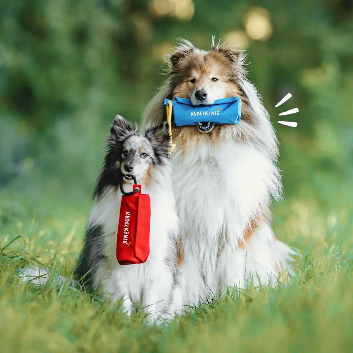 Futterdummy per Cani – Sacchetto da Riporto per Addestramento 5/6