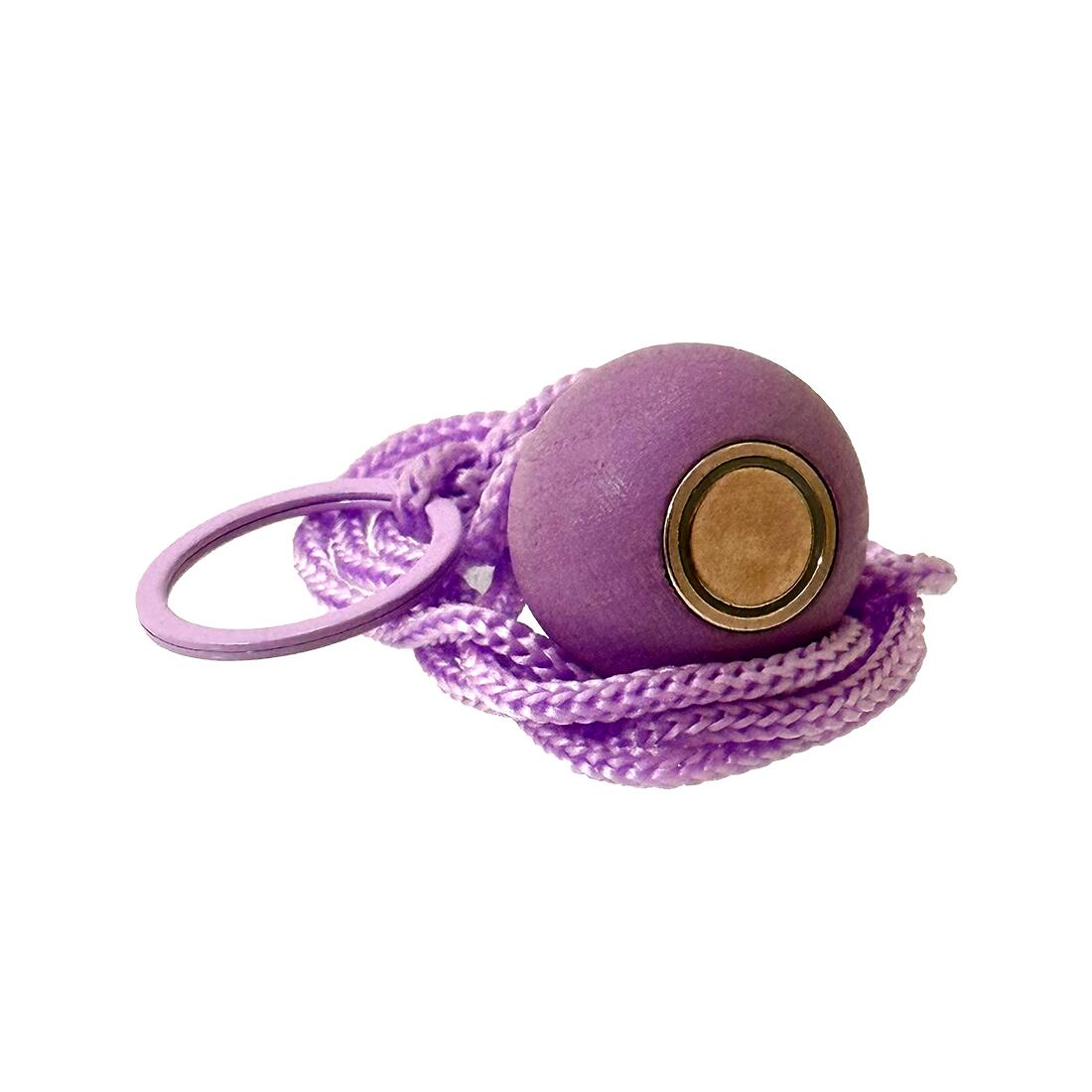 Aimant pour boules – Couleur violet clair – Force de traction élevée – 4 kg 2/5
