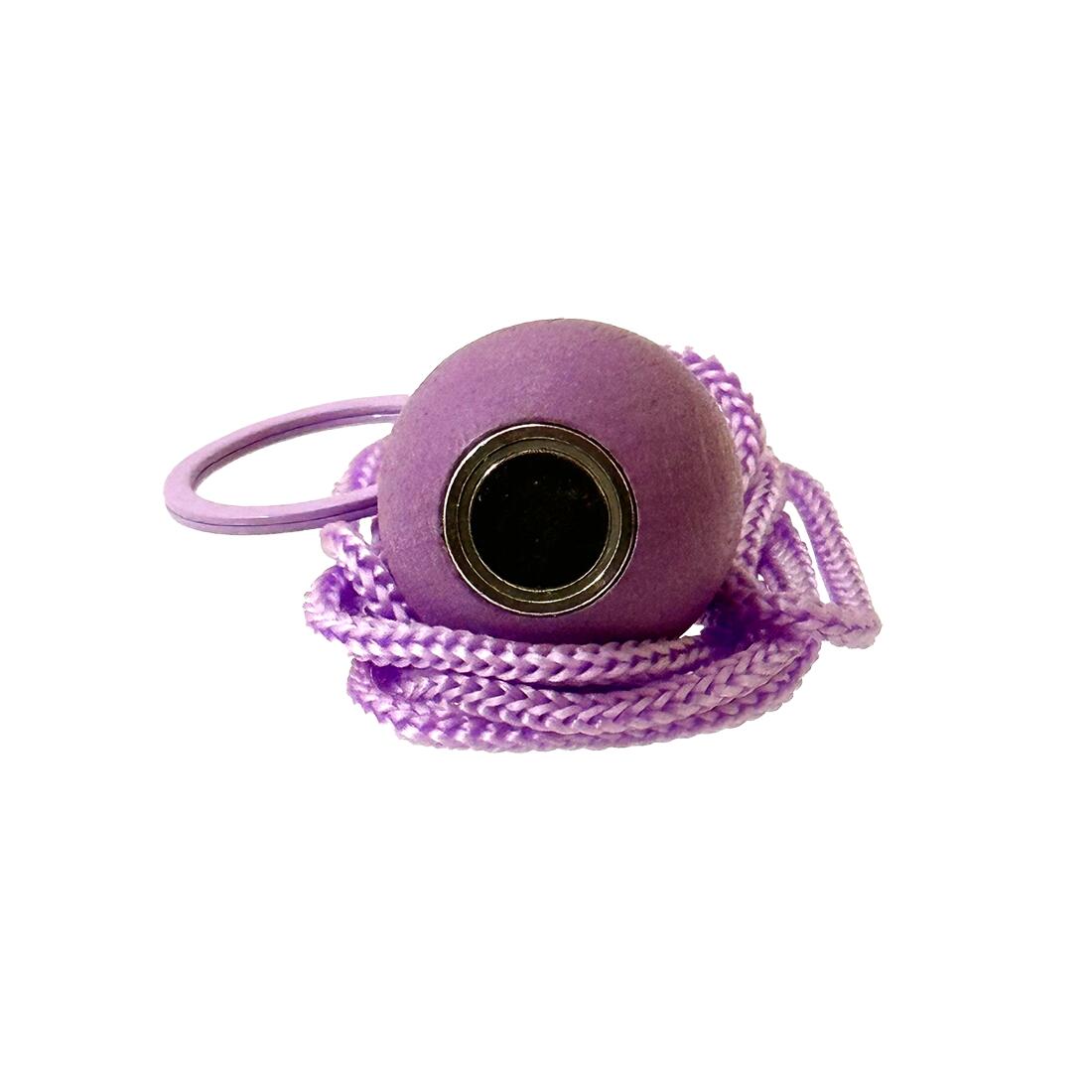 Bouleset couleur violet clair-1 boule aimantée-1 traceur de terrain-1 cochonnet 2/7