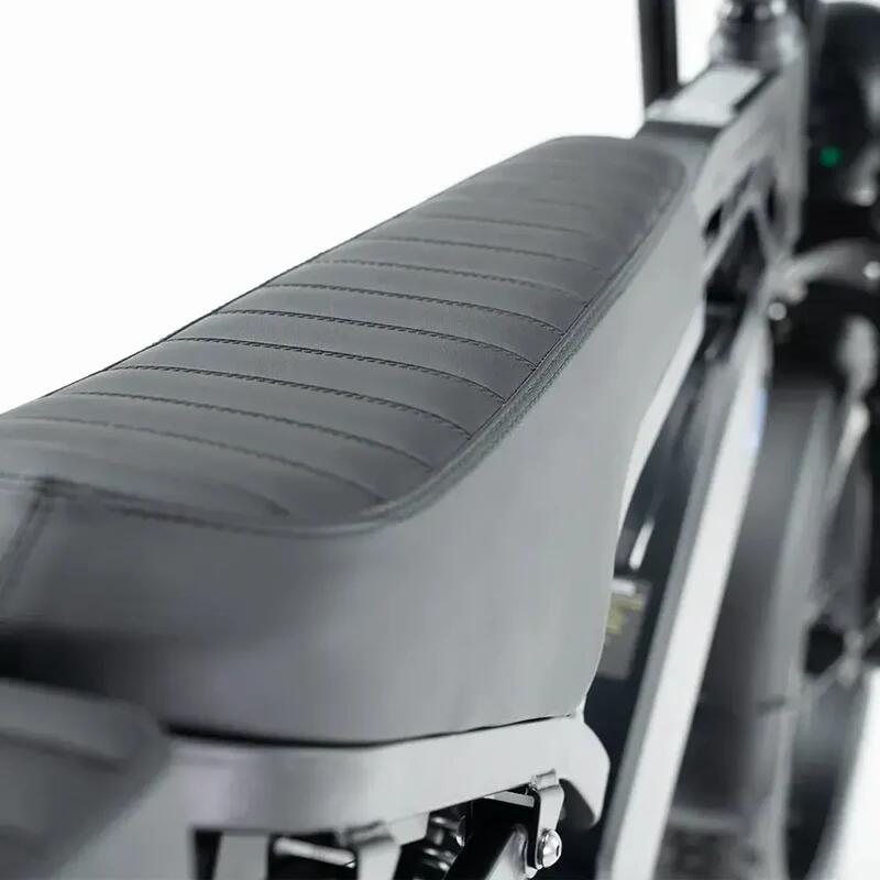 V20 pro Family Bike met Hydraulische Remmen 250Watt motorvermogen 7/7