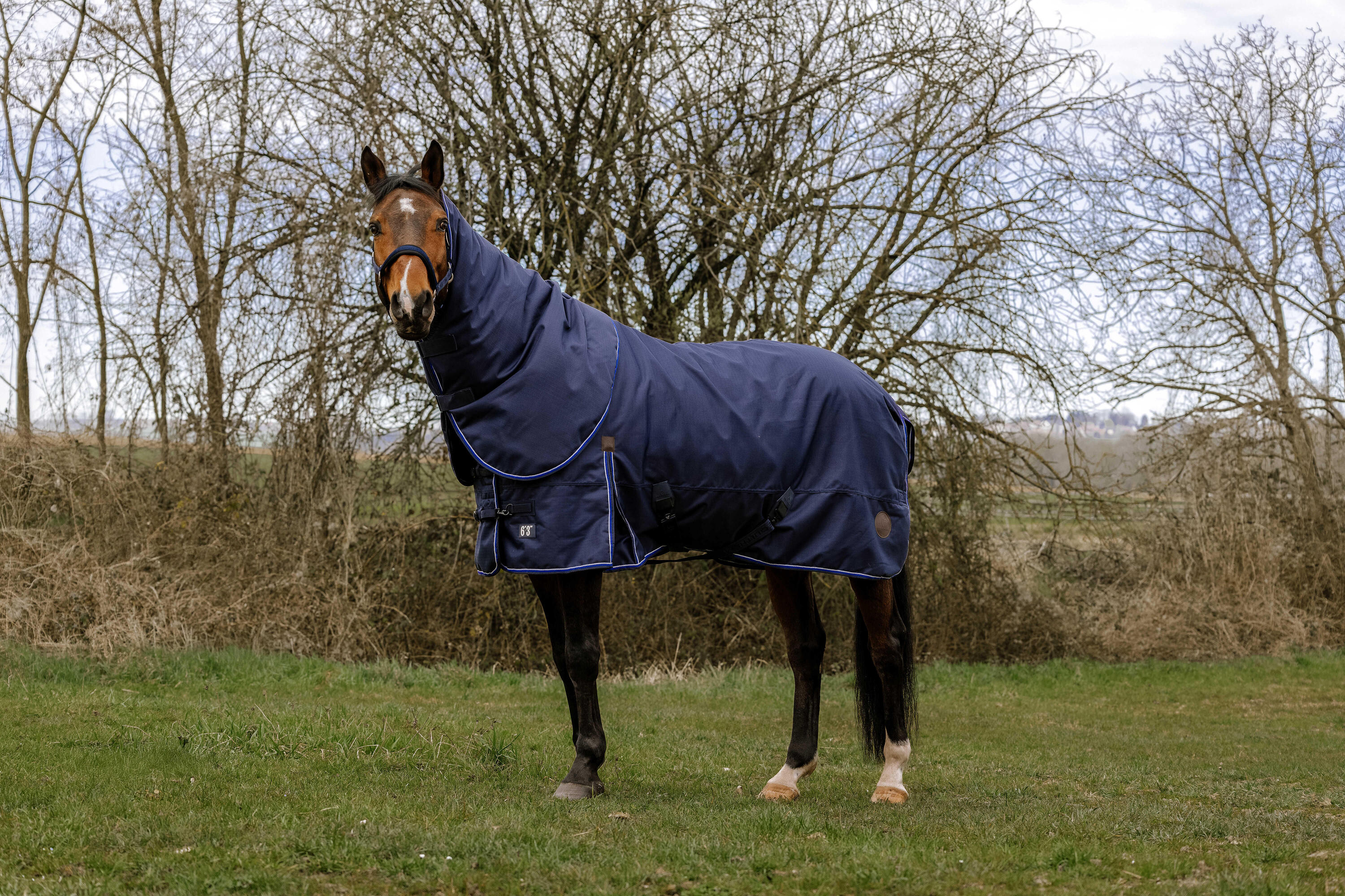 EQUITHÈME picture
