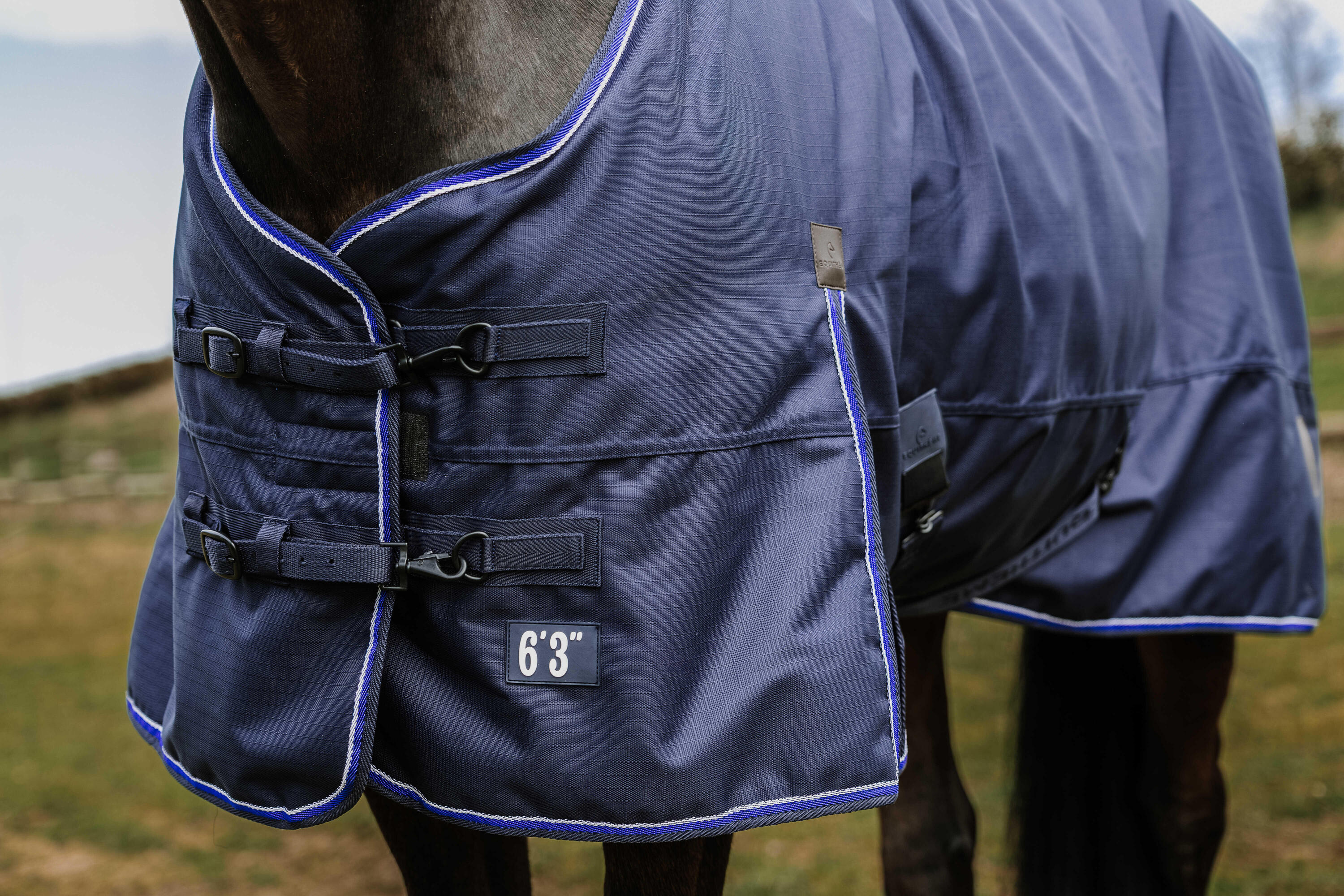 Equitheme Classic 3 Ebenen Outdoordecke 50/100/200g 1200 D abnehmbarer Halsteil 2/4