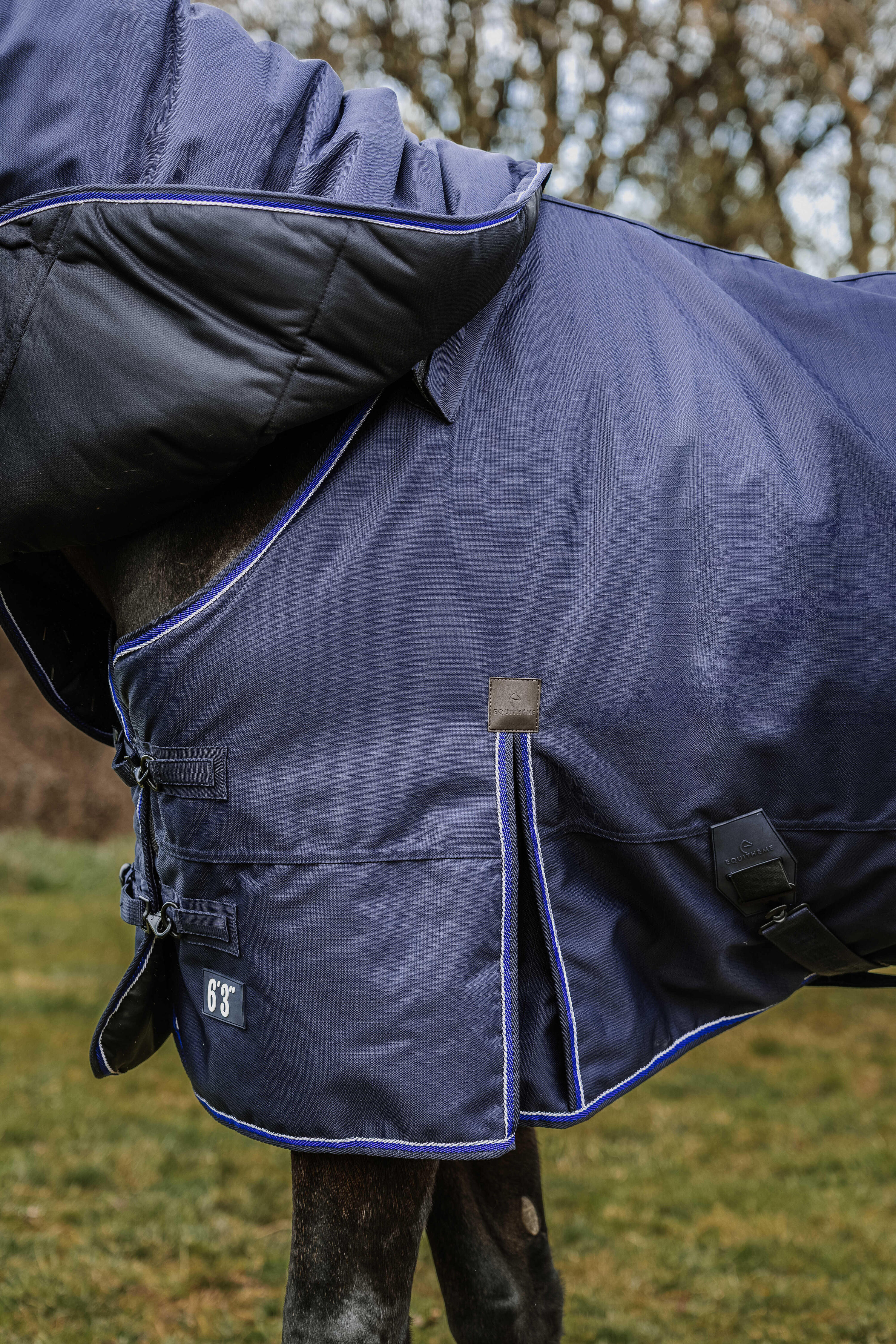 Equitheme Classic 3 Ebenen Outdoordecke 50/100/200g 1200 D abnehmbarer Halsteil 4/4