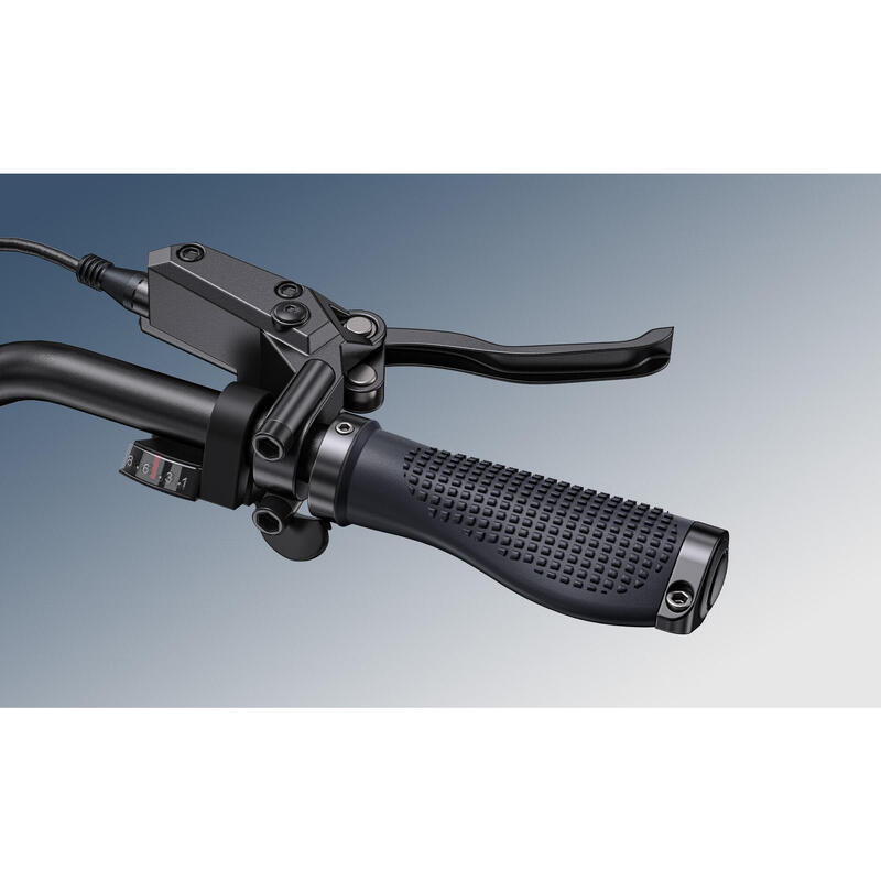 Bicicletă electrică pliabilă ENGWE Engine Pro 3.0 Boost