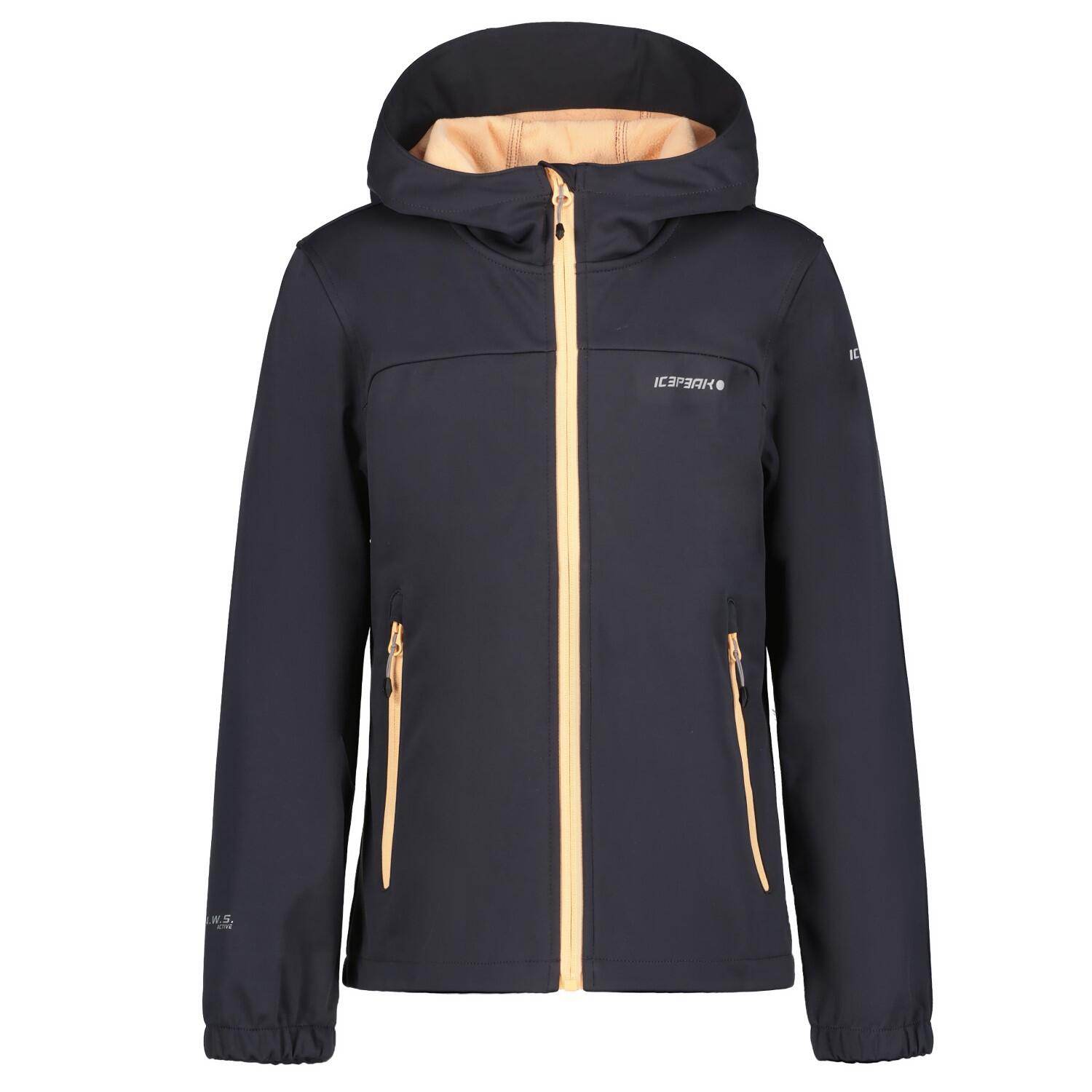 ICEPEAK picture