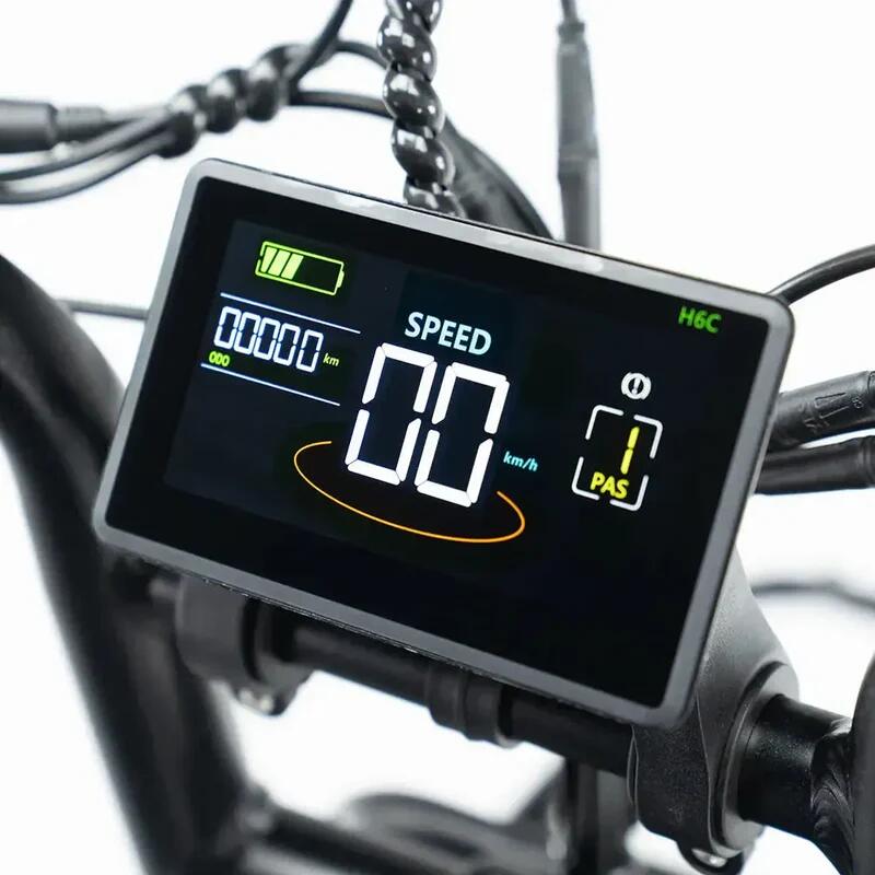 V20 pro Family Bike met Hydraulische Remmen 250Watt motorvermogen 4/7