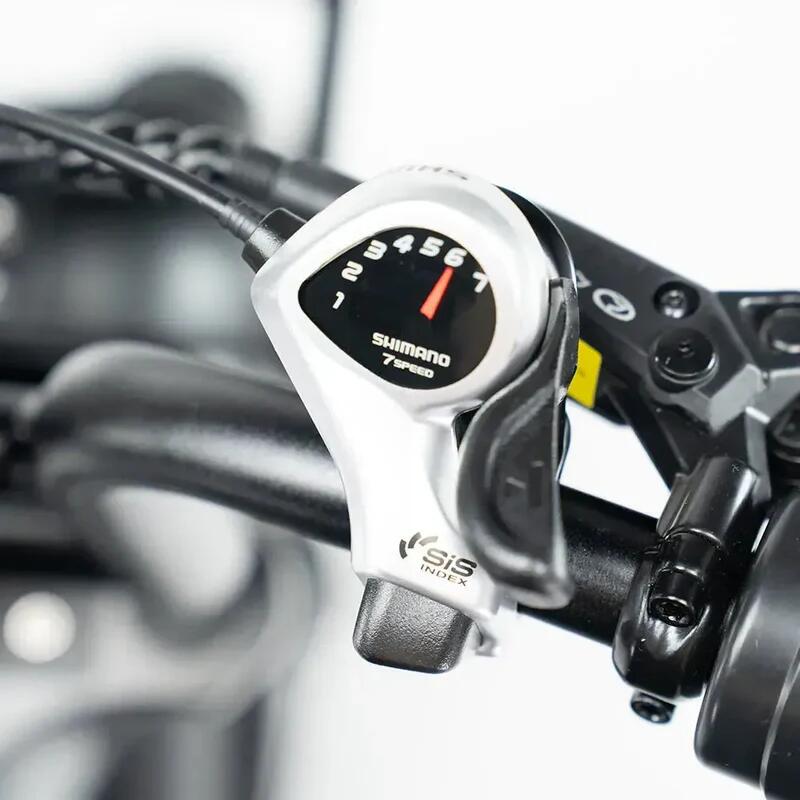 V20 pro Family Bike met Hydraulische Remmen 250Watt motorvermogen 5/7