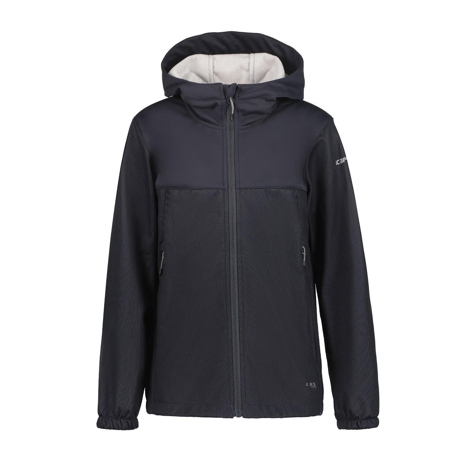 ICEPEAK picture