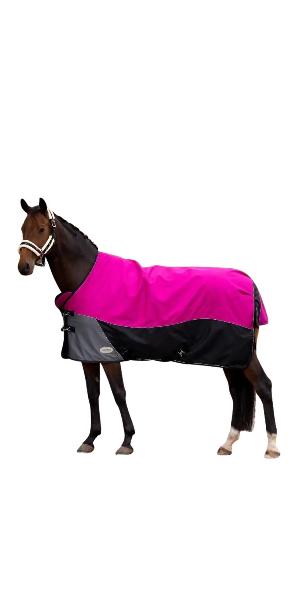 EQUUS BRAND picture