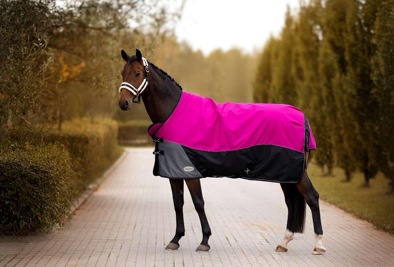 Coperta da paddock StormGuard 1200D 100 g 3/3