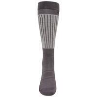 Chaussettes PERFORMANCE Femme (Anthracite / Gris argenté)