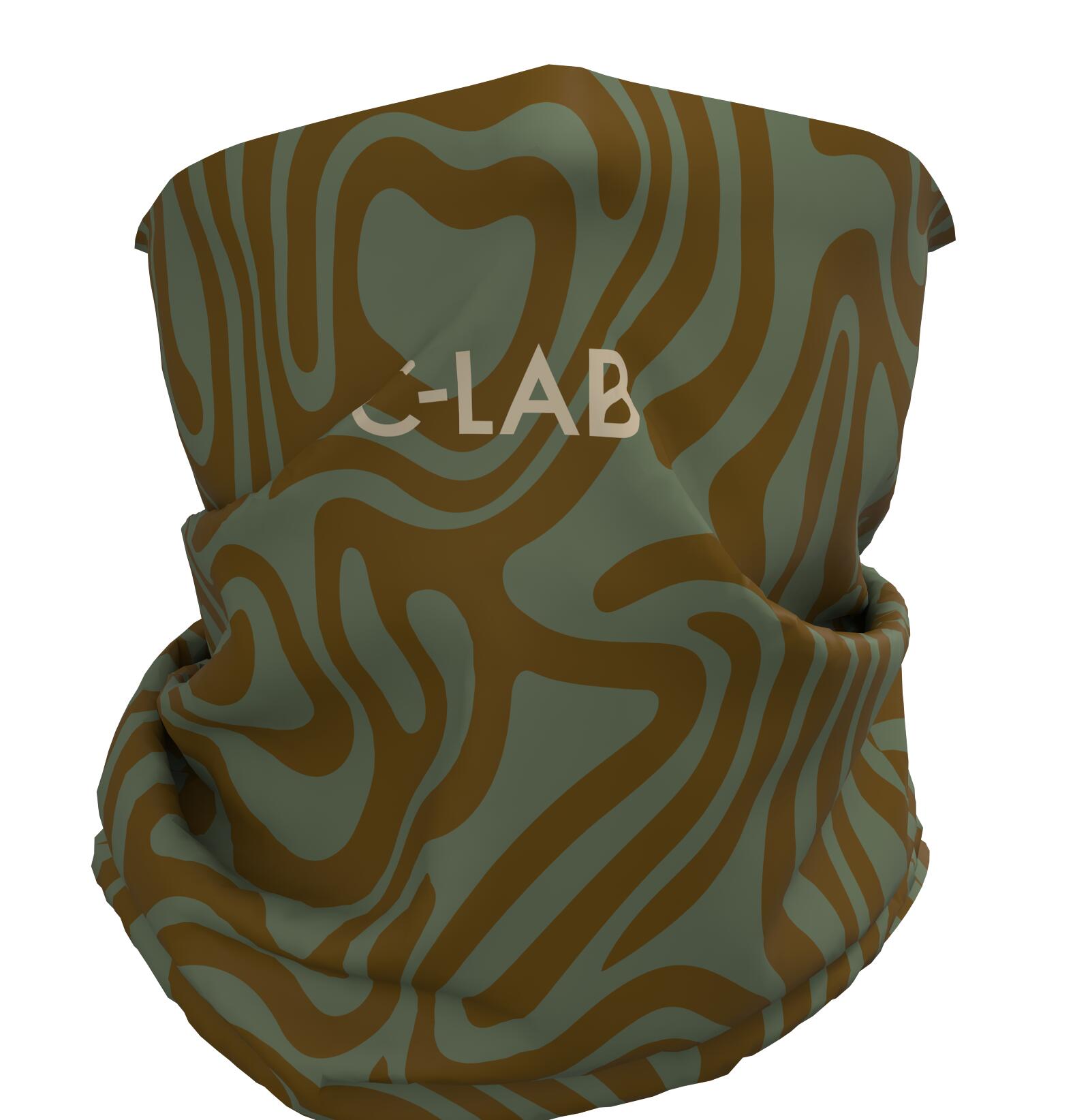 C-LAB picture