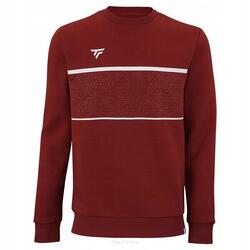Sweatshirt enfant Tecnifibre Team