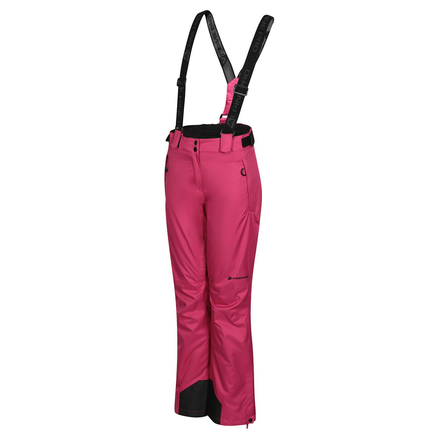 ALPINE PRO picture