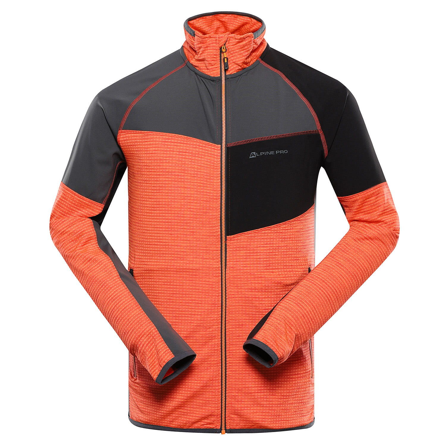 ALPINE PRO picture