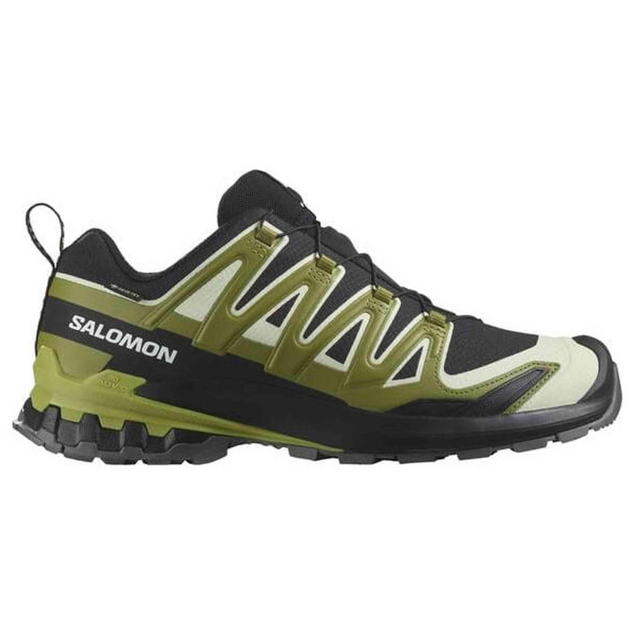 SALOMON picture