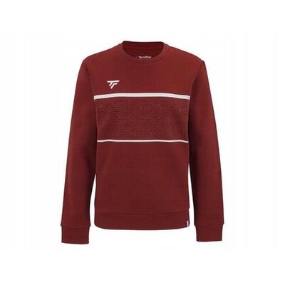 Bluza dziecięca lifestyle Tecnifibre Team Sweater