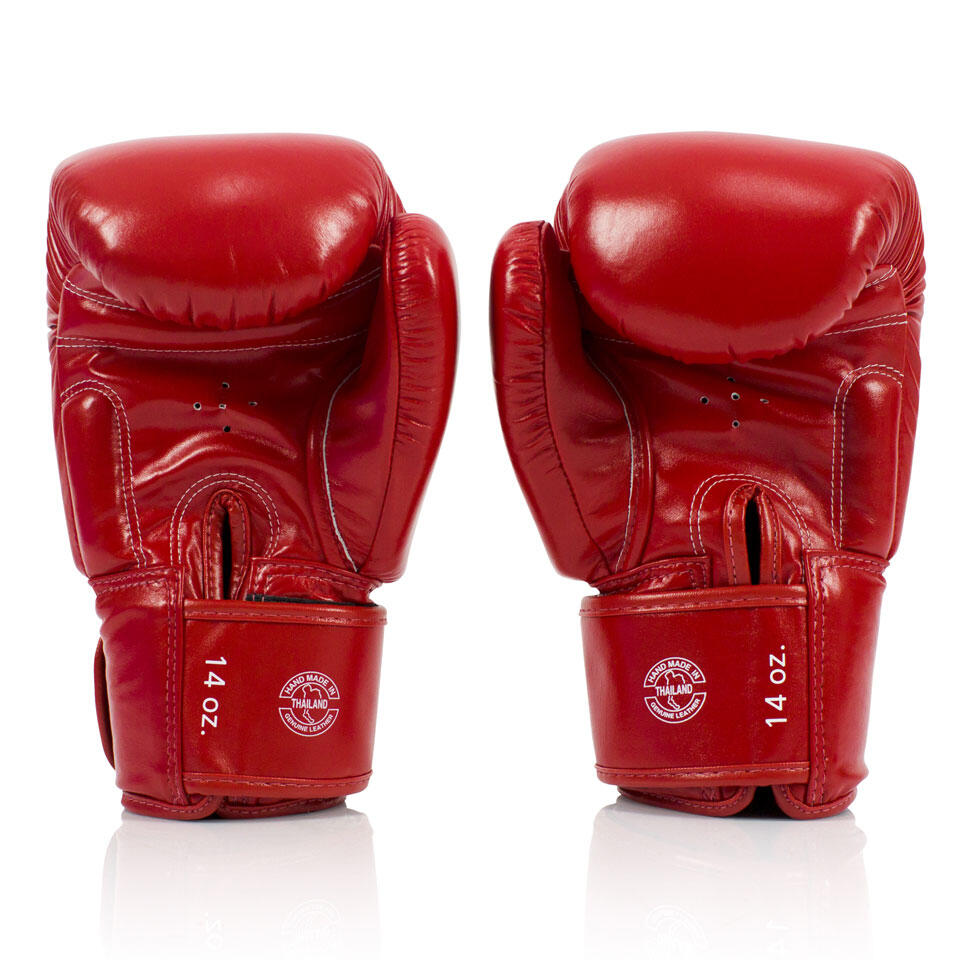 Boxing gloves Fairtex BGV19 Deluxe 4/4