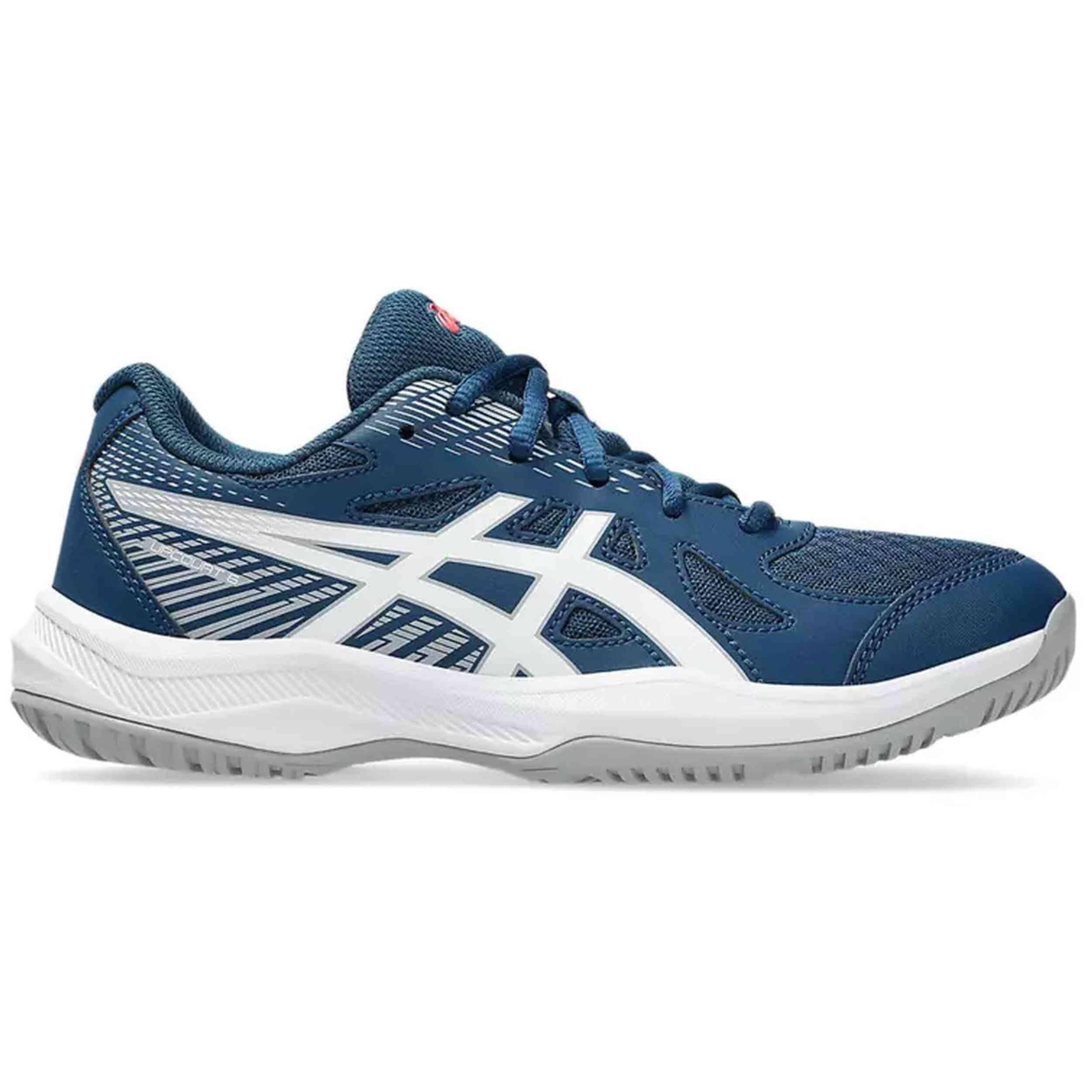 ASICS picture