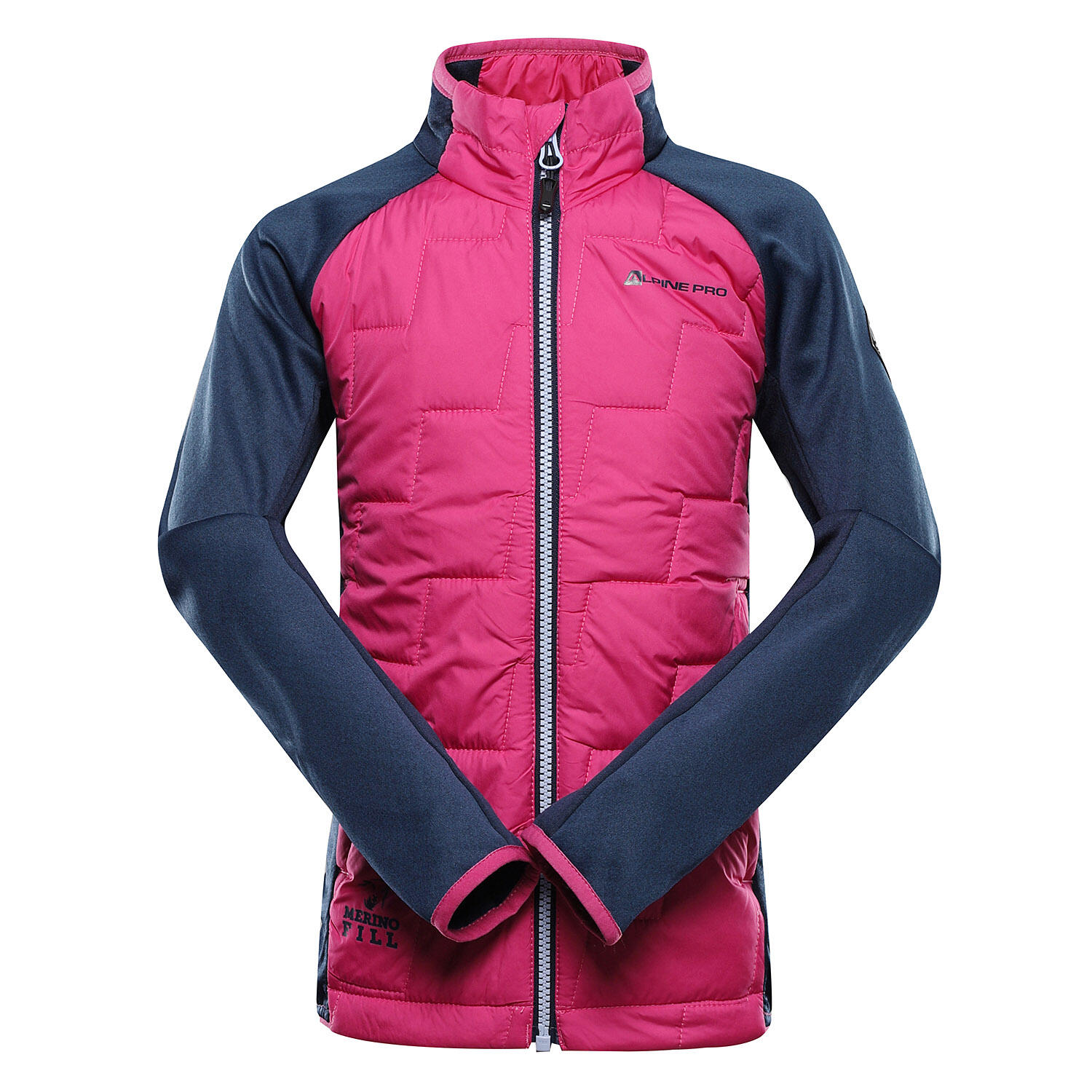 ALPINE PRO picture