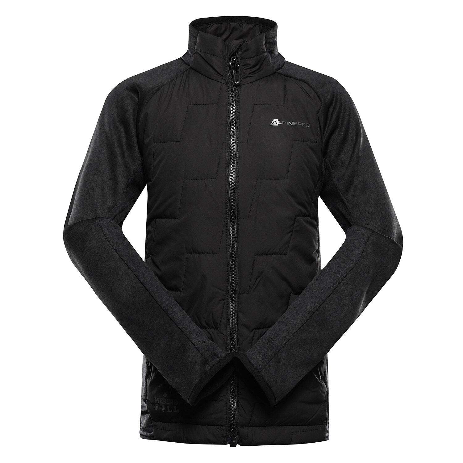 ALPINE PRO picture