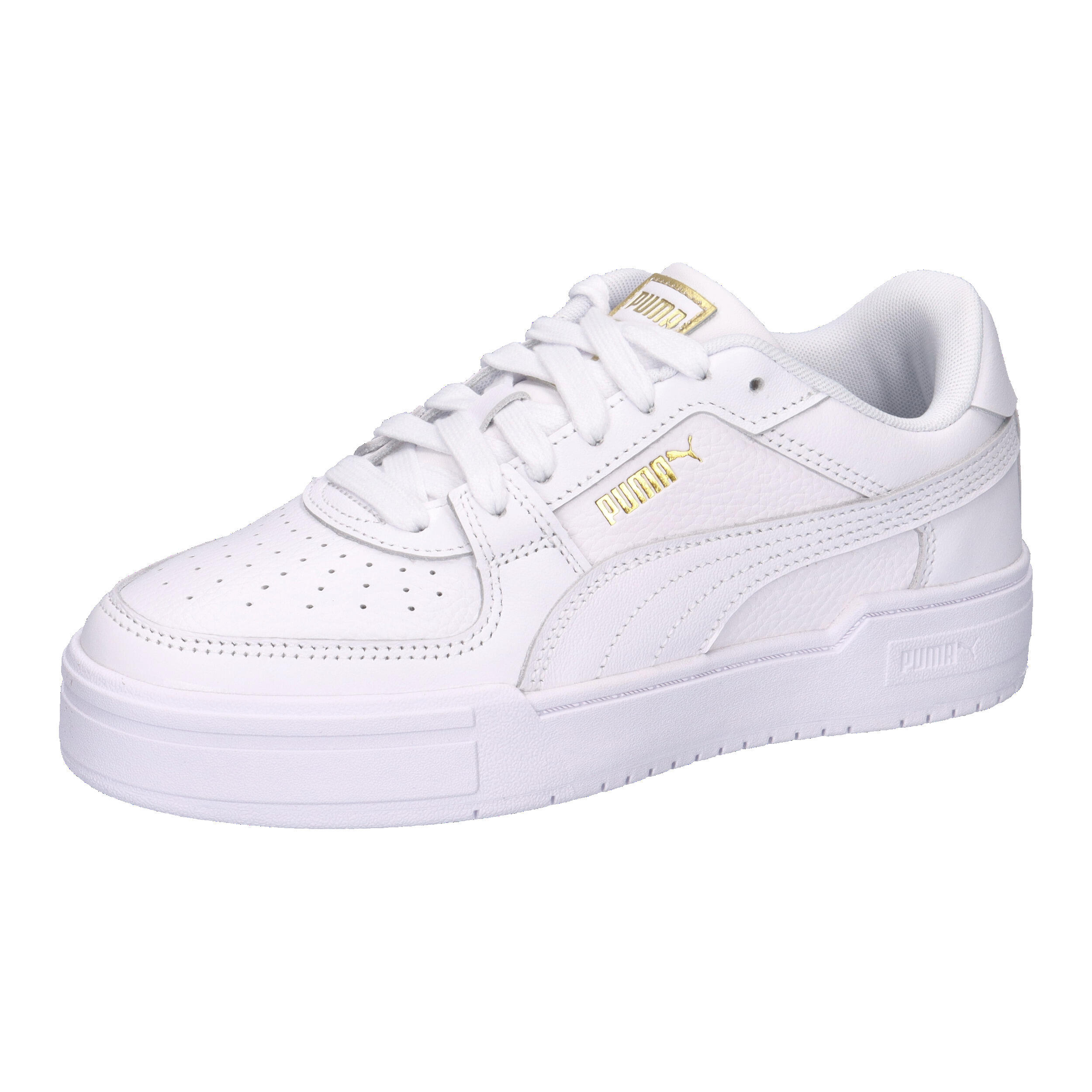 PUMA picture