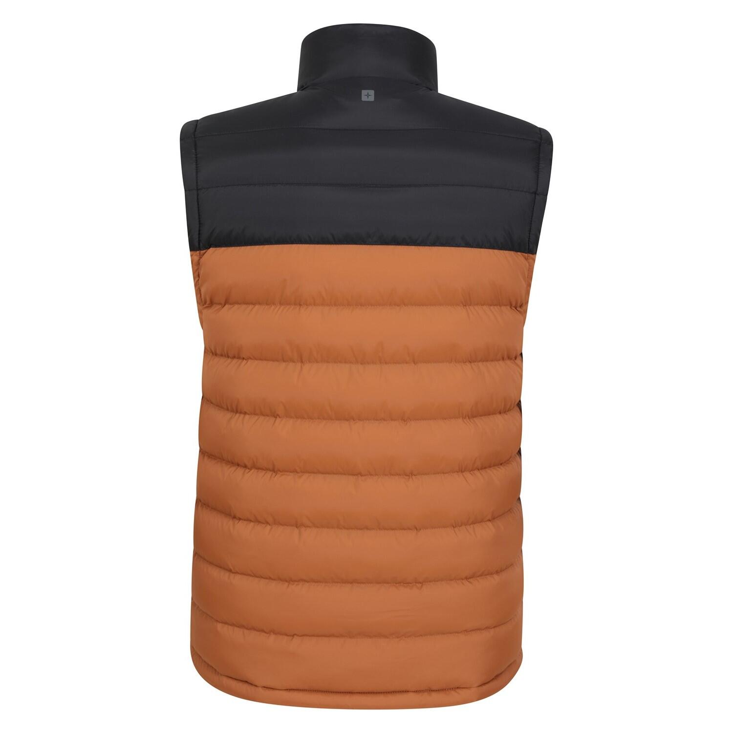 Veste Sans Manches SEASONS Homme (Doré) 2/4