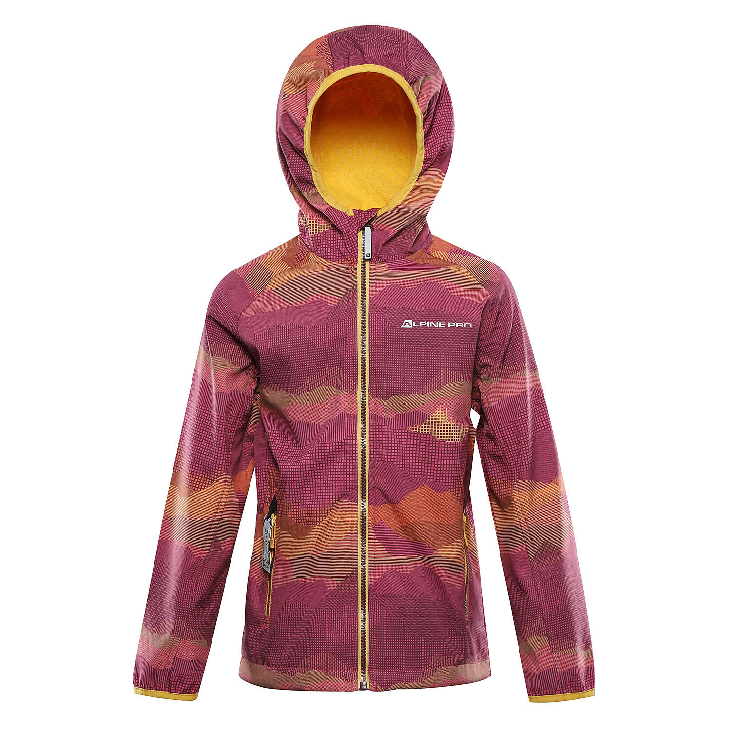 ALPINE PRO picture