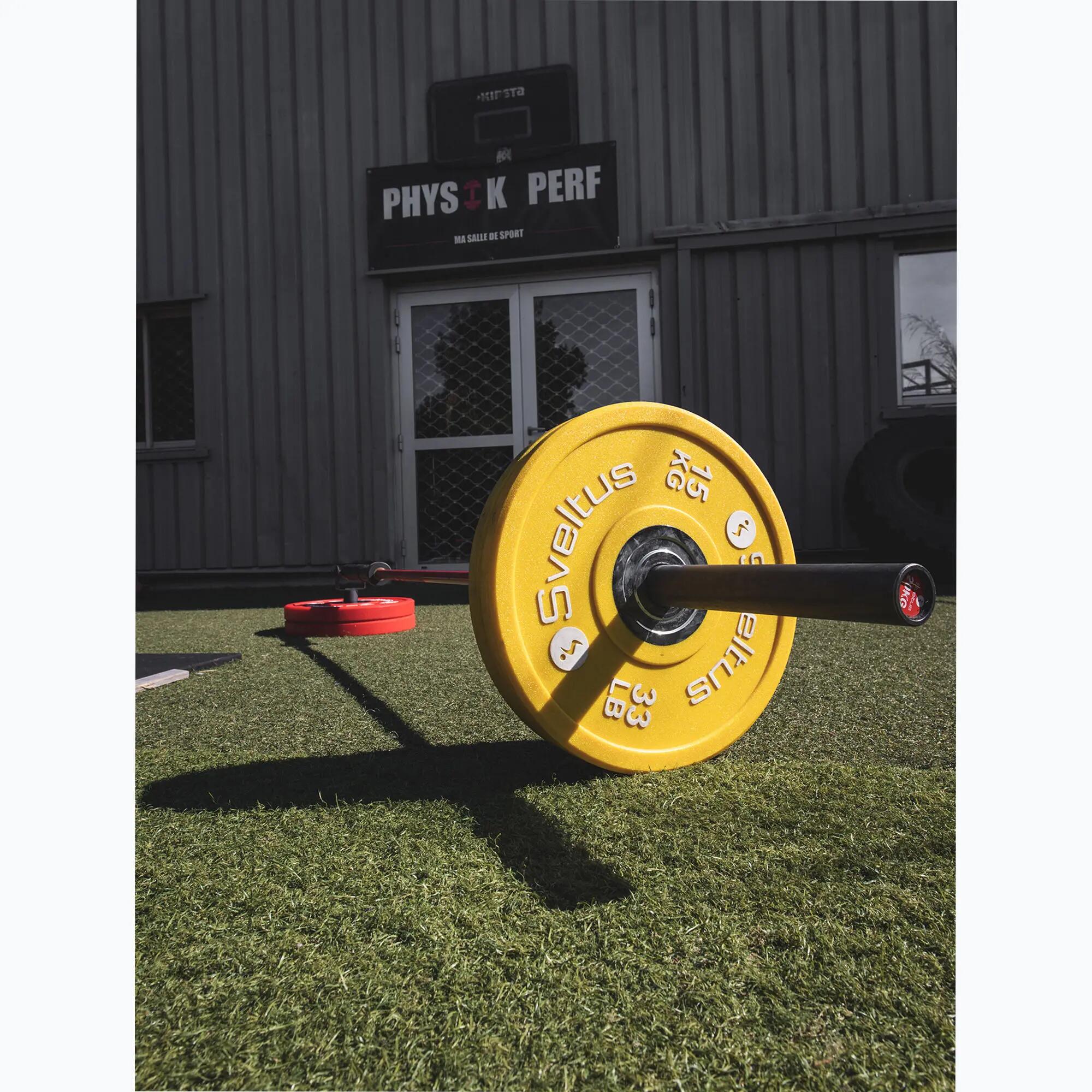 Uchwyt na gryf Sveltus 1694 T-Bar Landmine 4/6