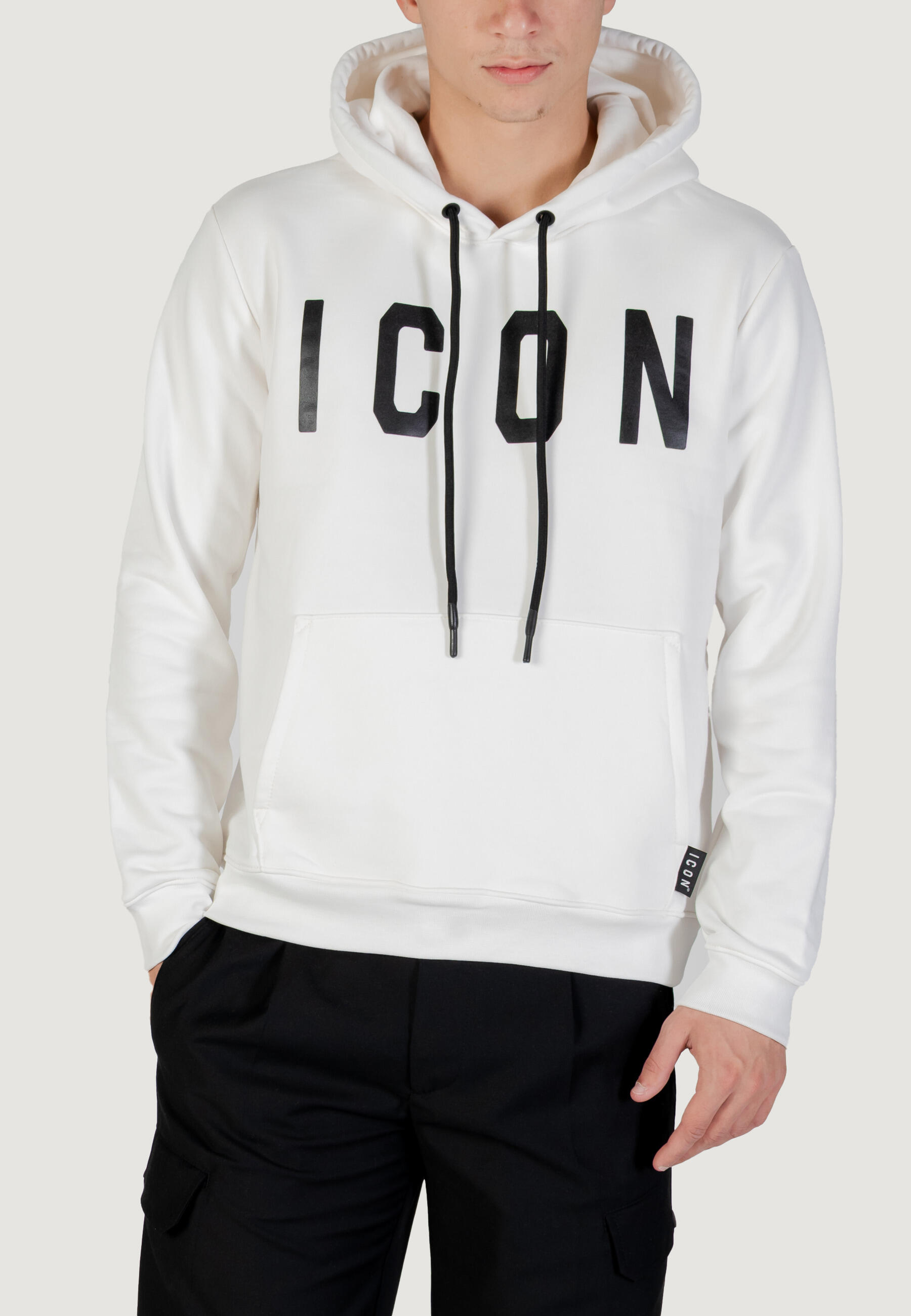 ICON picture