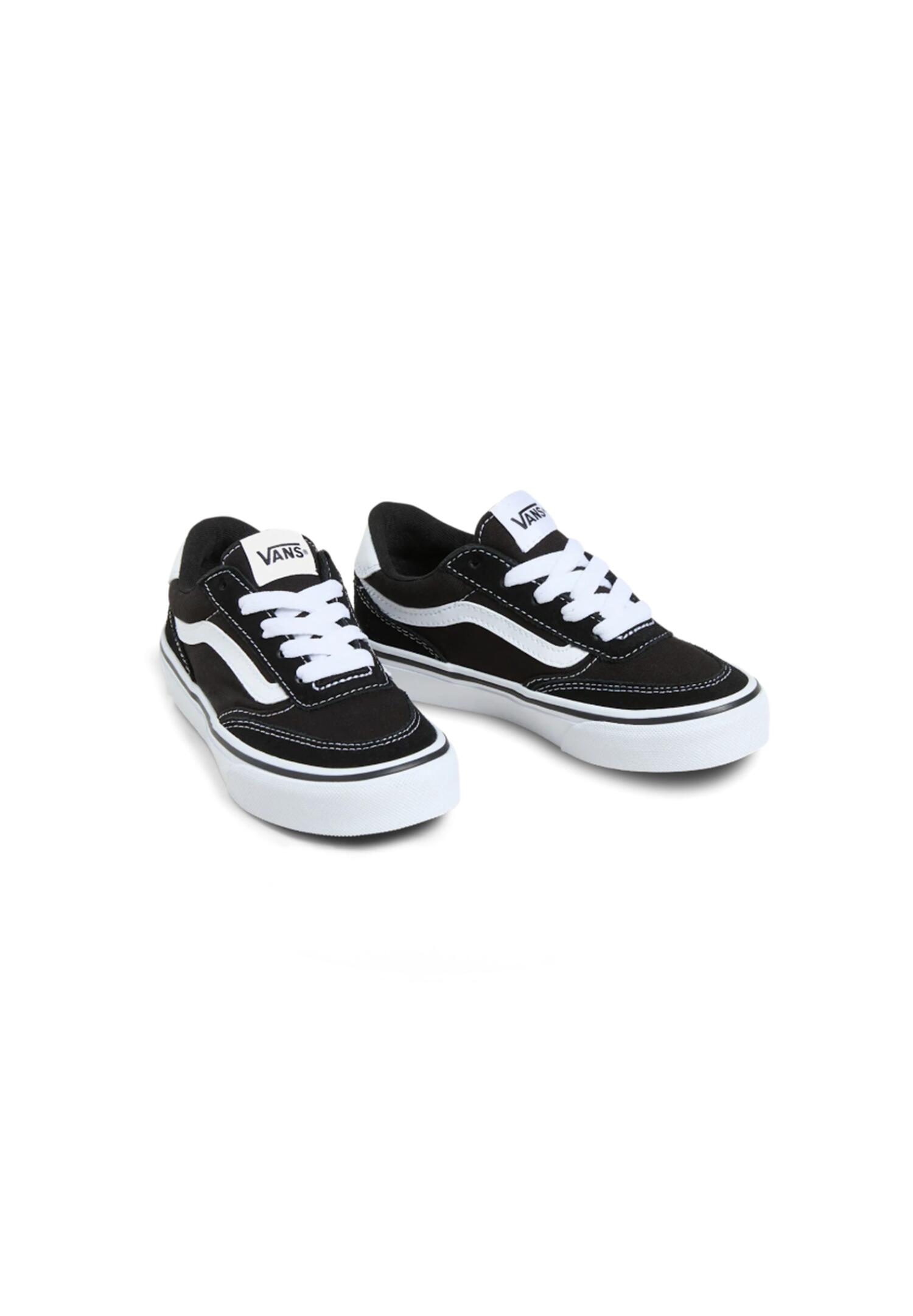 VANS picture
