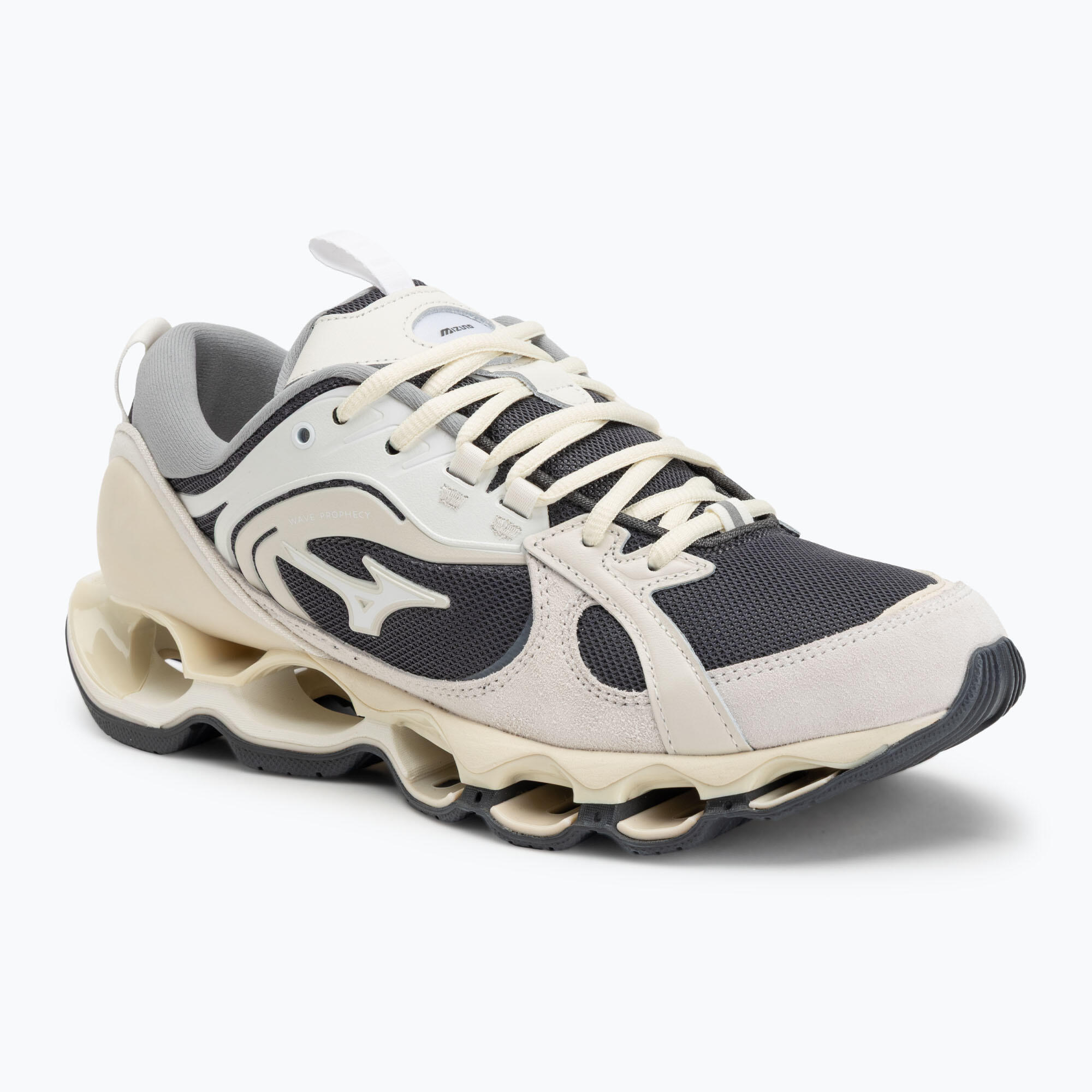 MIZUNO picture