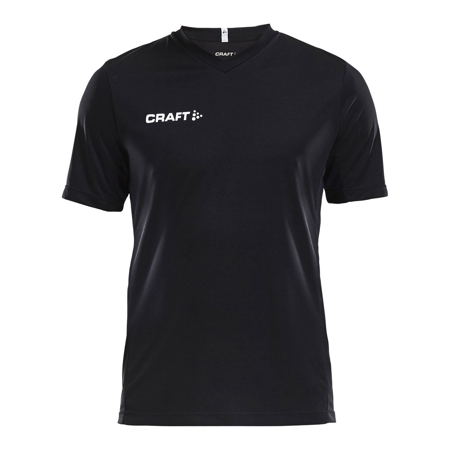 CRAFT picture