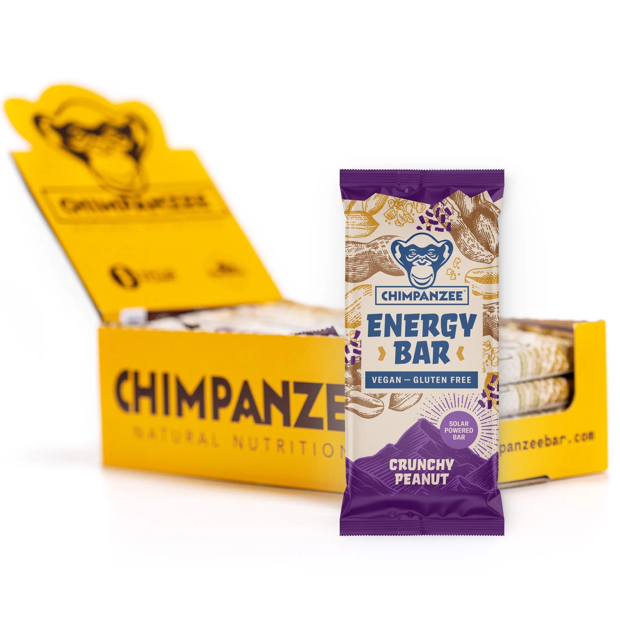 CHIMPANZEE picture