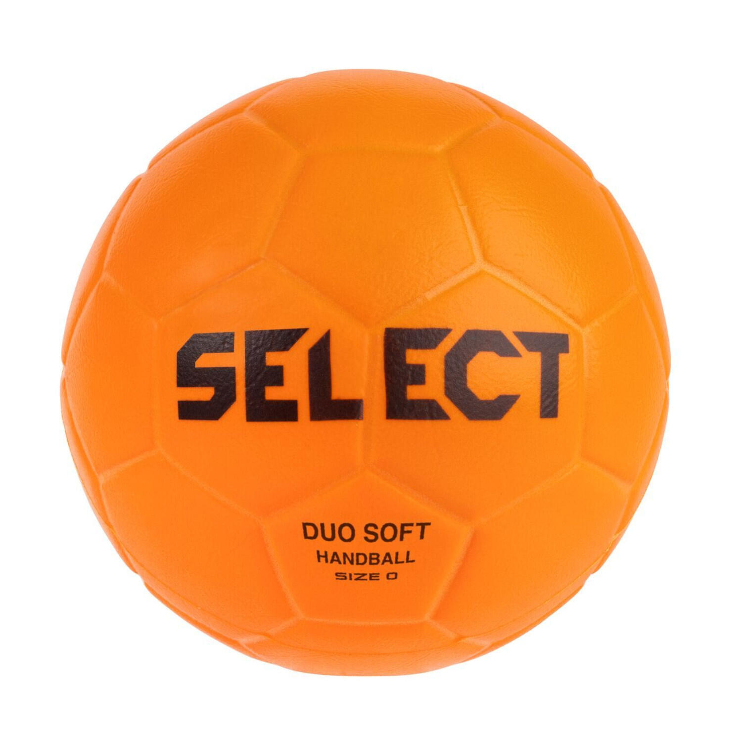 SELECT picture