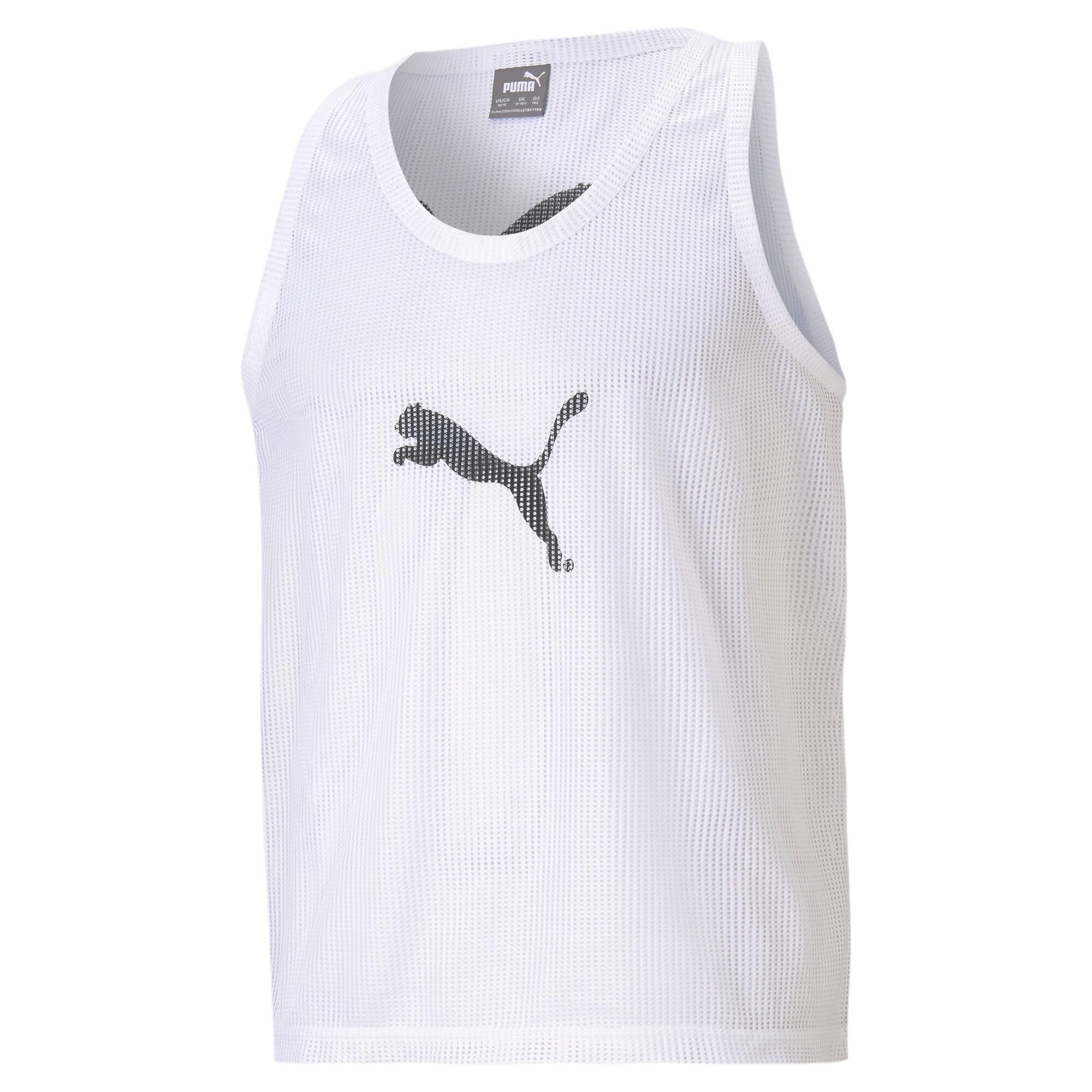 PUMA picture