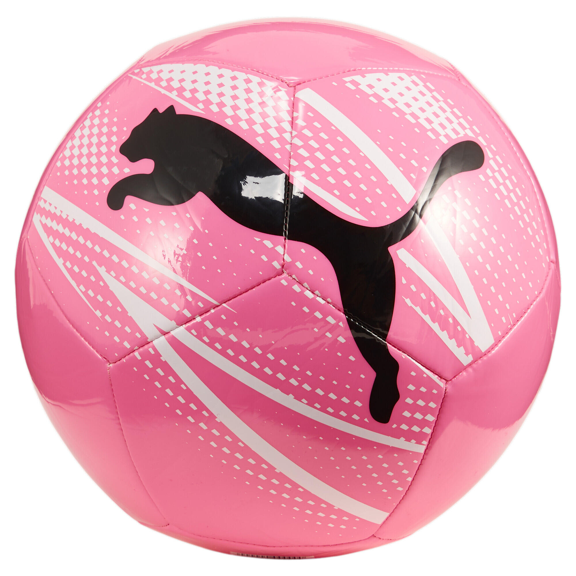 PUMA picture