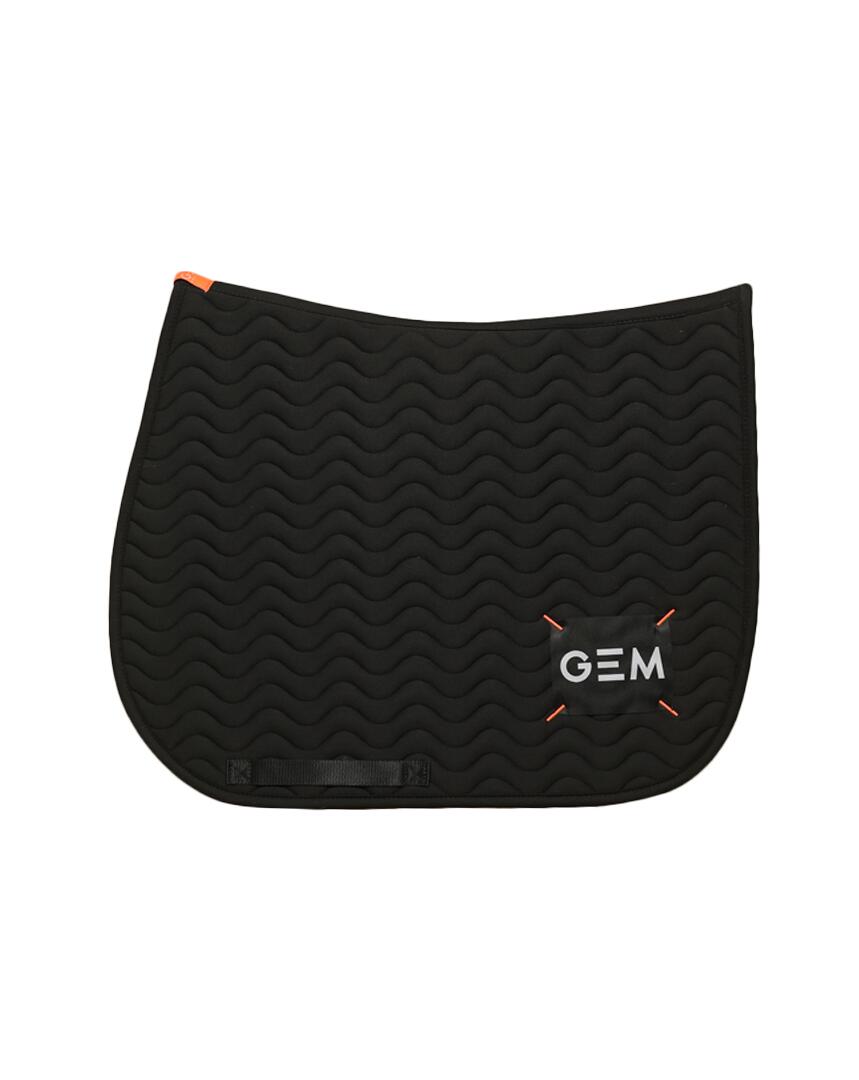 GEM EQUITATION picture