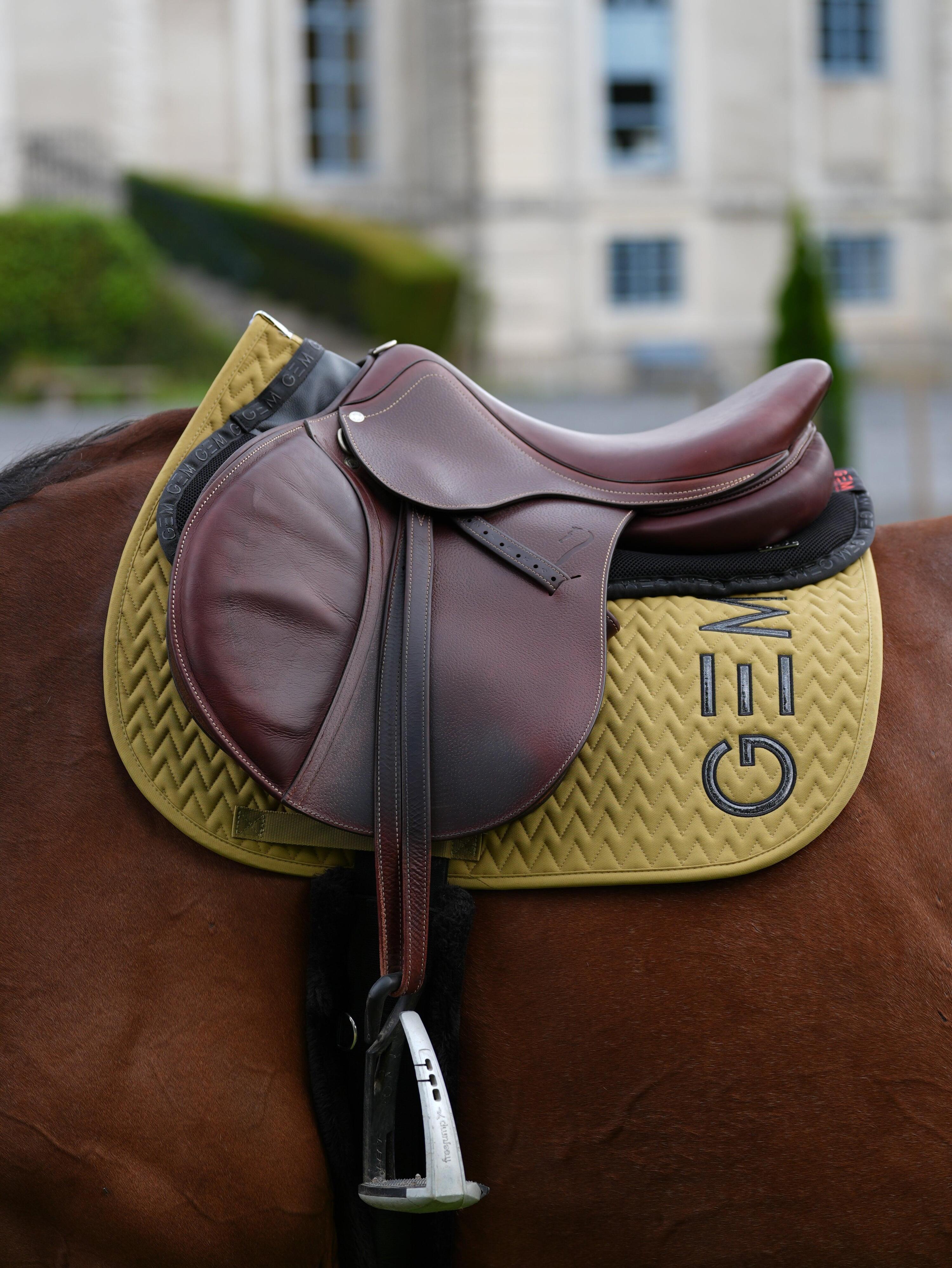 GEM EQUITATION picture