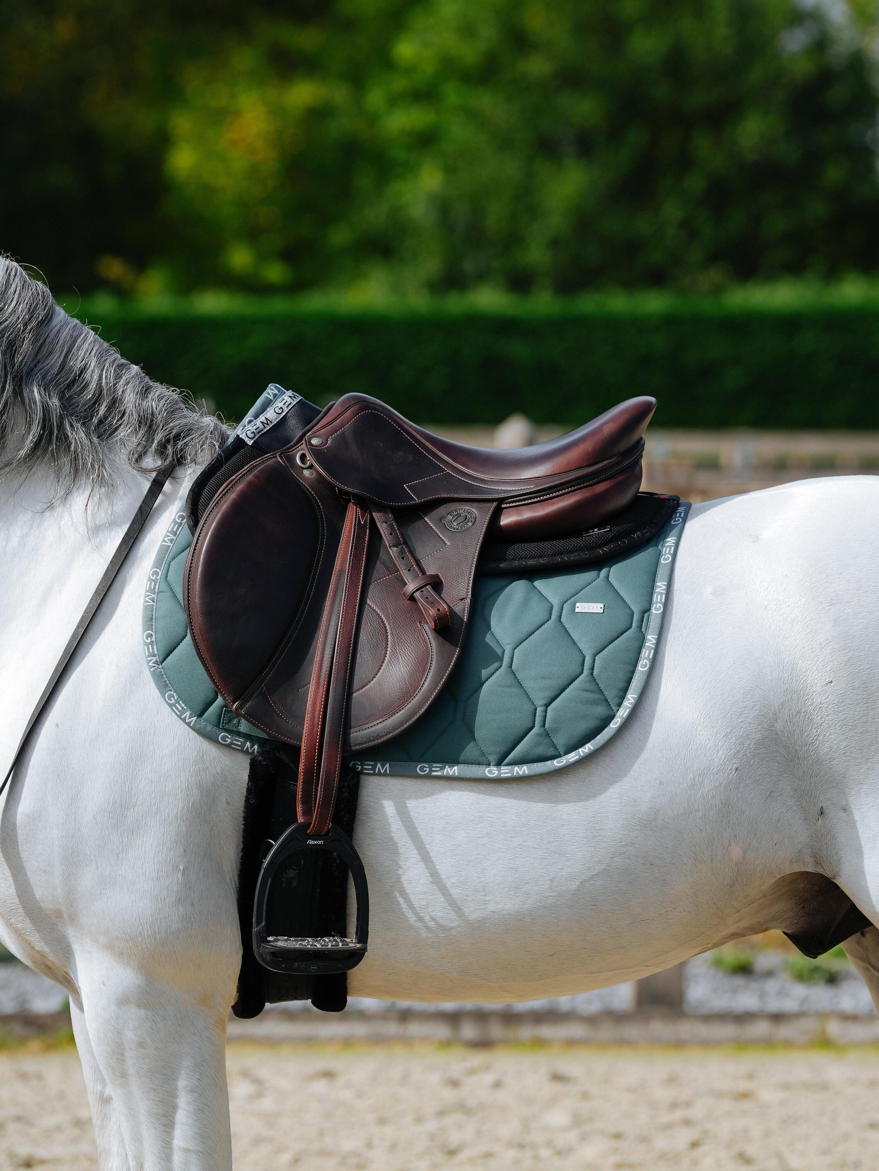GEM EQUITATION picture