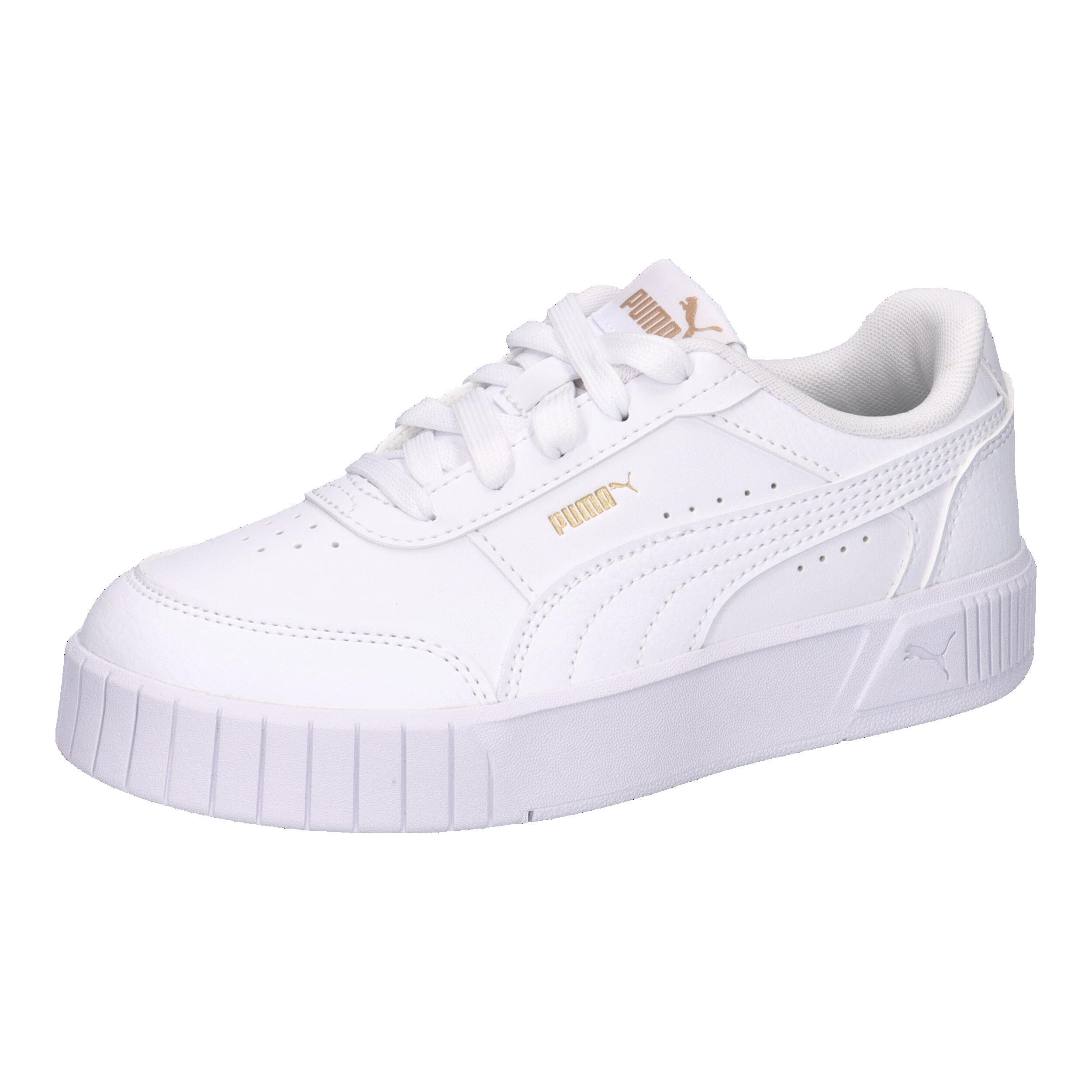 PUMA picture