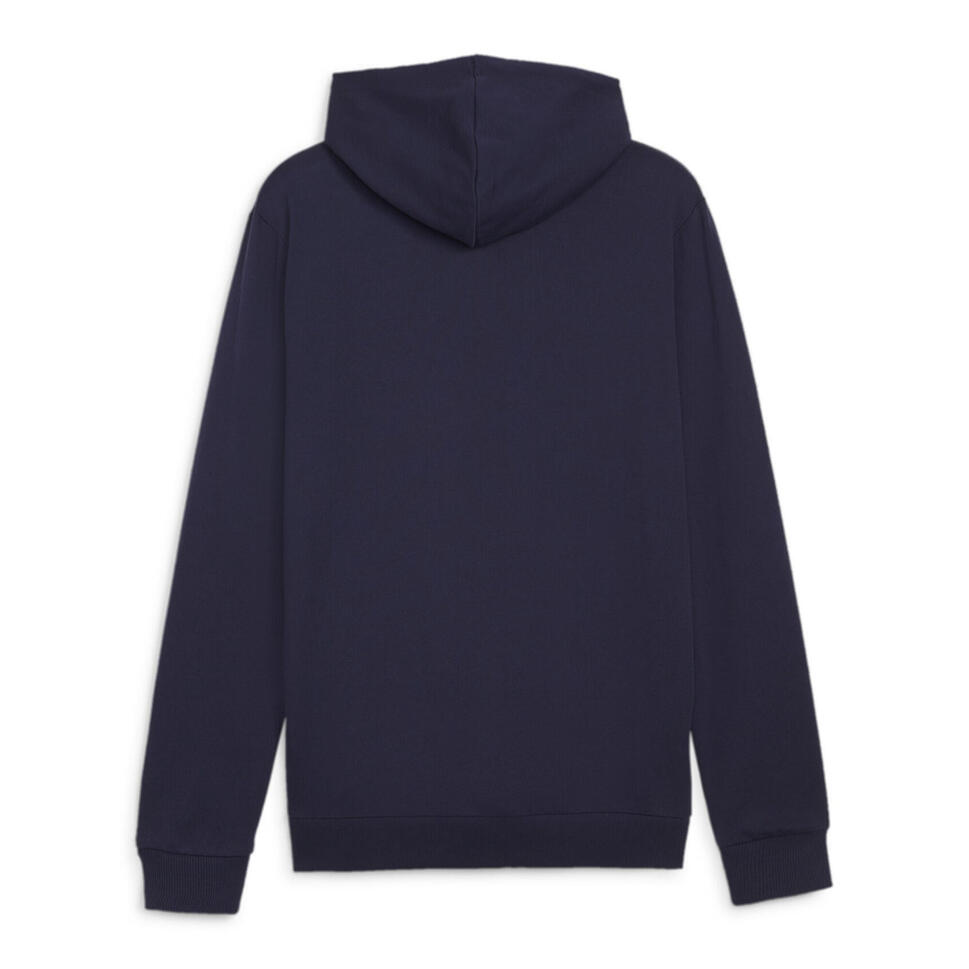 Bluza męska Puma Team Goal Casuals Hoody